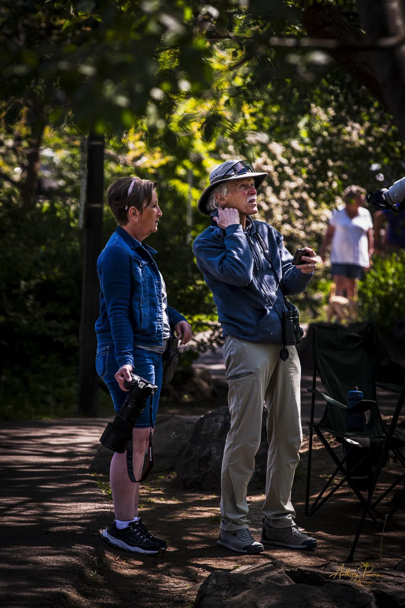 Two women and two men, one holding a camera and another with binoculars, standing outdoors among trees and rocks, possibly in a park or nature reserve, engaged in birdwatching or nature observation.