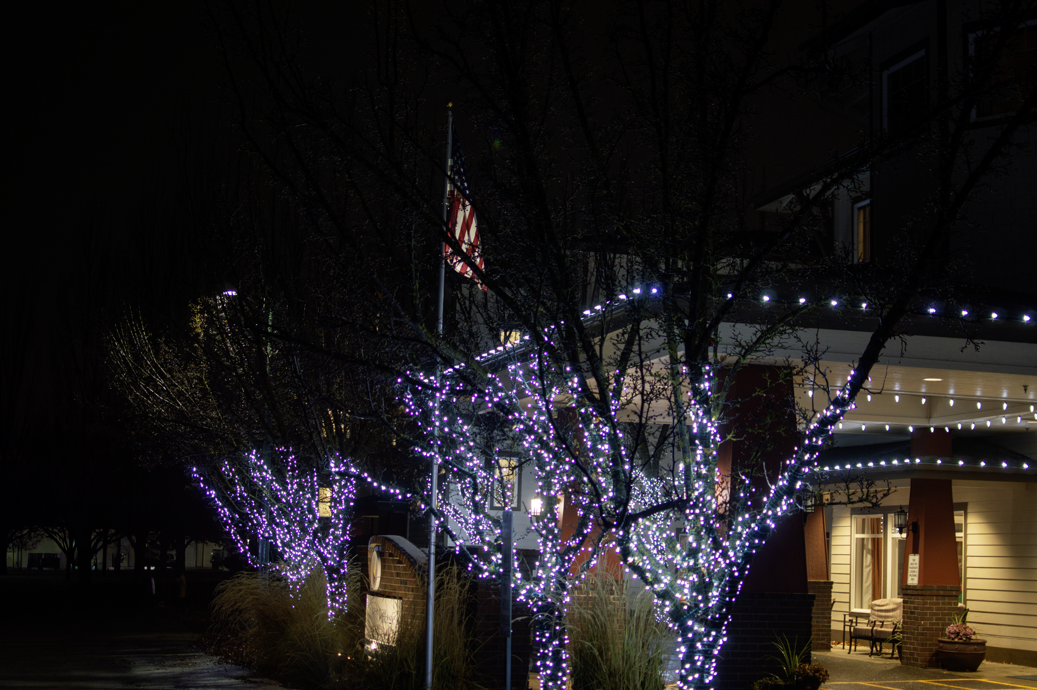 Night scene of trees with purple and white Christmas lights, a flagpole with an American flag, and a building with porch and lighting.