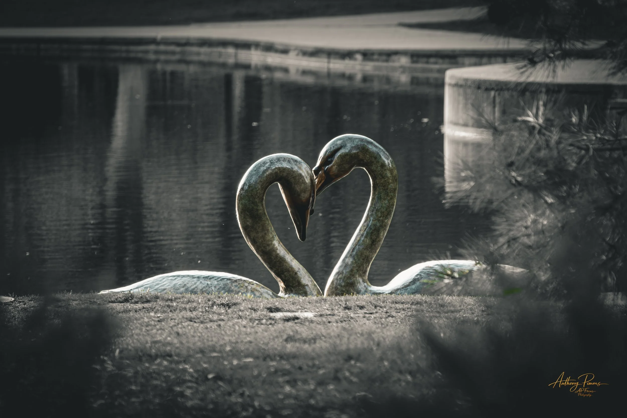 A sculpture of two swans with their necks curved to form a heart shape, positioned near a body of water with a park or bridge in the background during daytime.