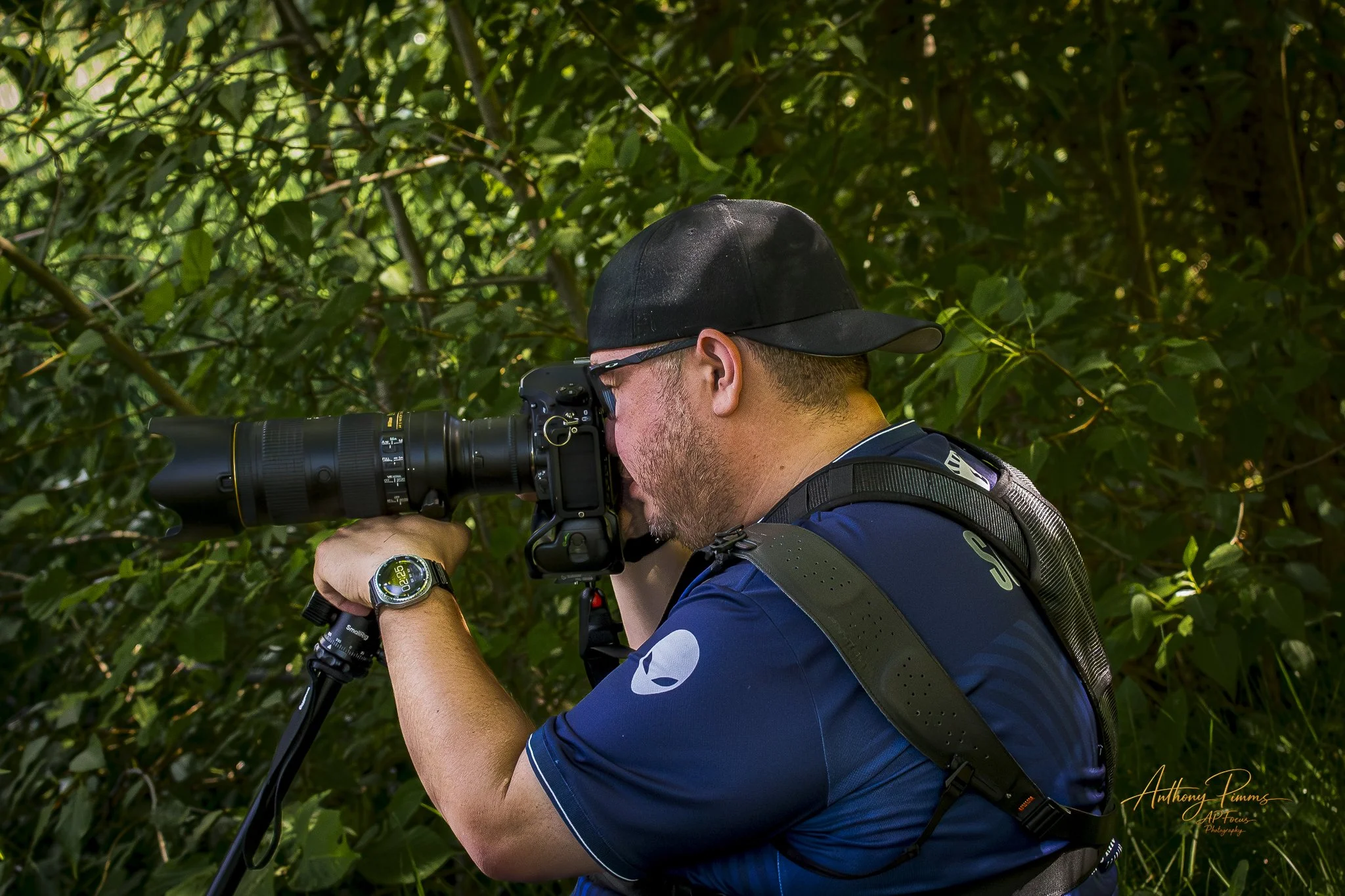 A man with a camera on a tripod, wearing a black cap, blue sports shirt, and a watch, adjusting equipment in a lush green outdoor setting.