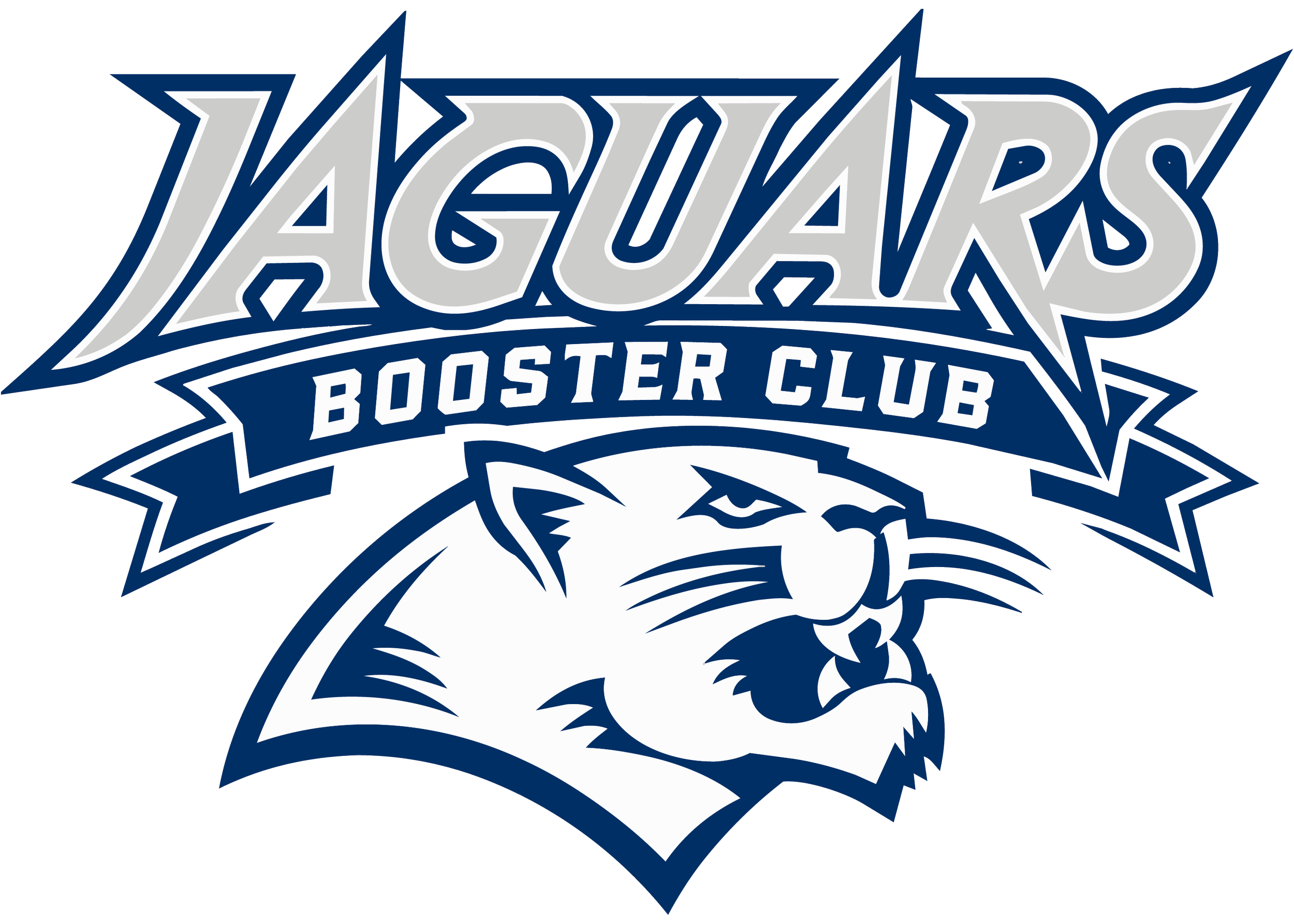 Logo of the Winnipeg Jets hockey team with the team name and a stylized jet in the background.
