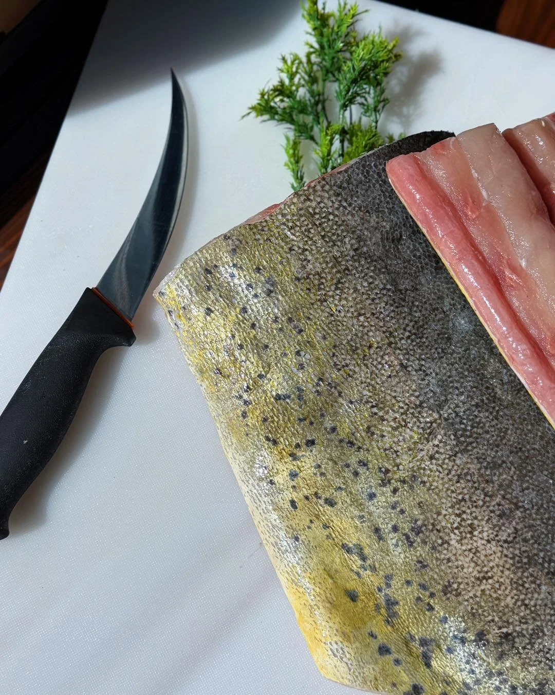 We have so many great seafood options this week! 🦀🐟🦑

Snow Crab Legs $18.99/lb

Snow Crab Claws $45.99/lb

Fresh Mahi Mahi Fillets $22.99/lb
*Pictured here!

Fresh Cleaned Tube &amp; Tentacle Squid $13.99/lb

What are you scooping up for your week