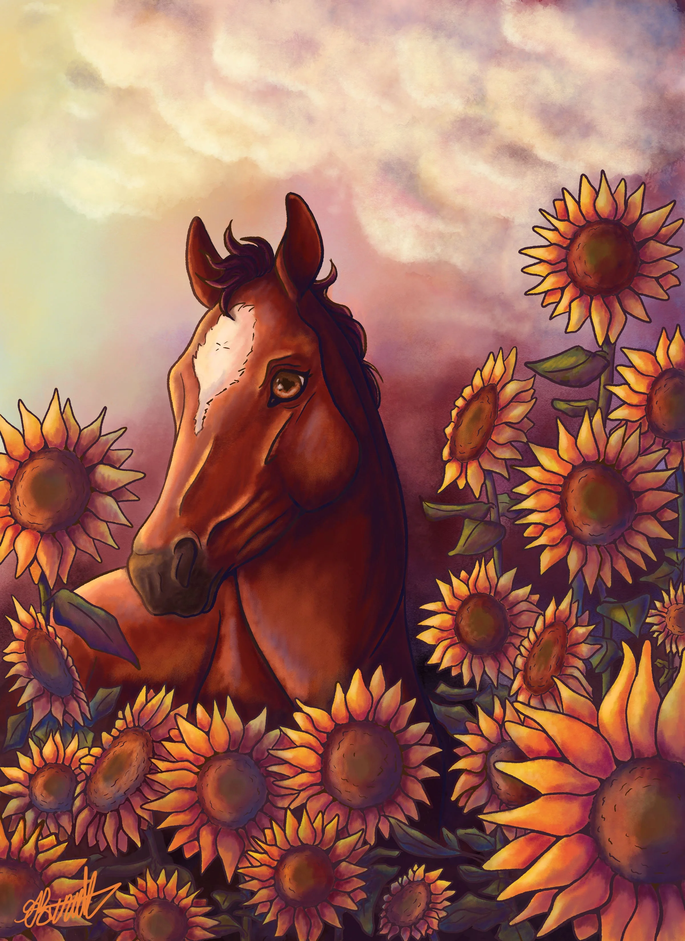 Foal Portrait