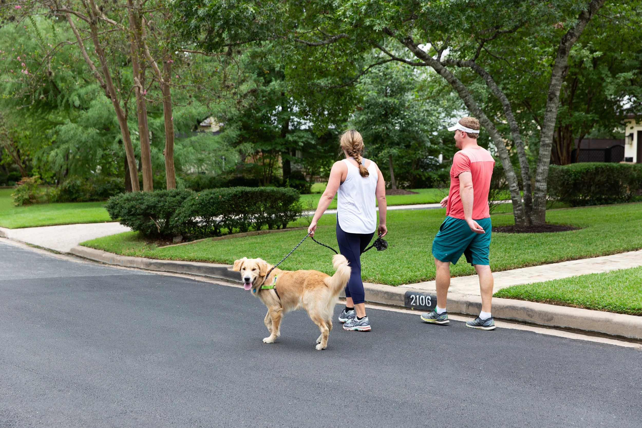 A man and a woman walking a dog on a leash on a suburban street surrounded by greenery, including trees and bushes.
