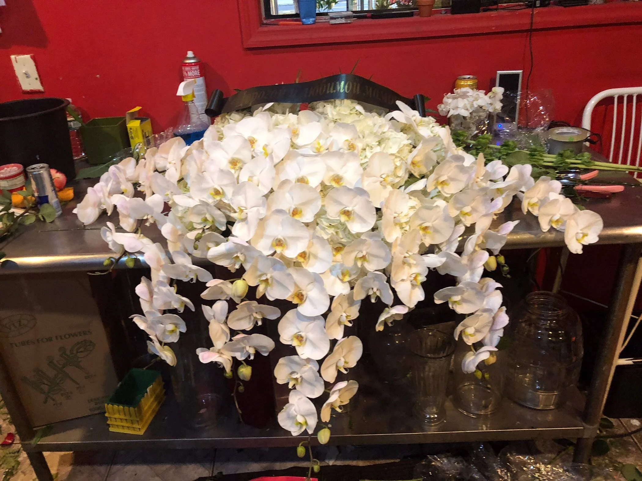 Cascading White Orchid Arrangement