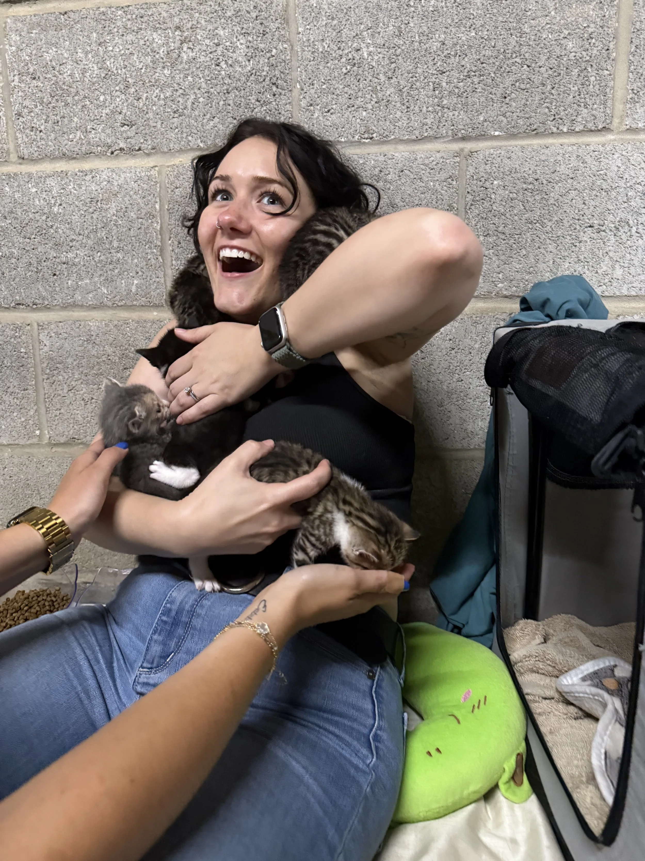 A woman with short dark hair and a nose ring smiling while holding several kittens, surrounded by various personal belongings and a textured gray brick wall.