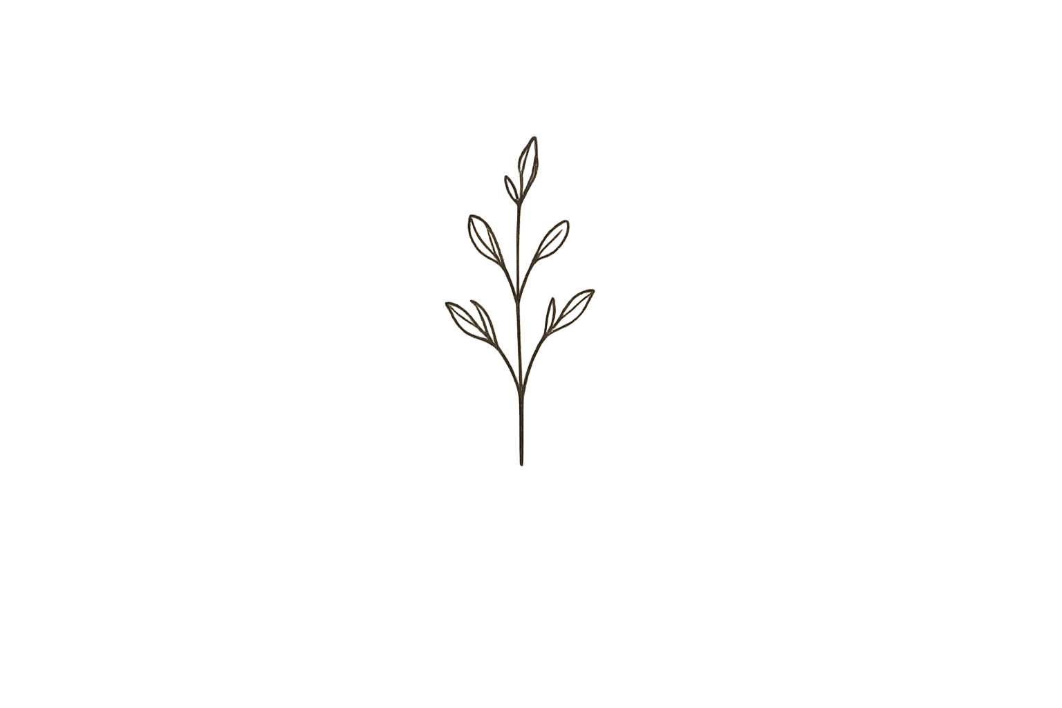 A minimalist line drawing of a small plant with several leaves on a central stem, depicted in a beige or light brown color on a black background.