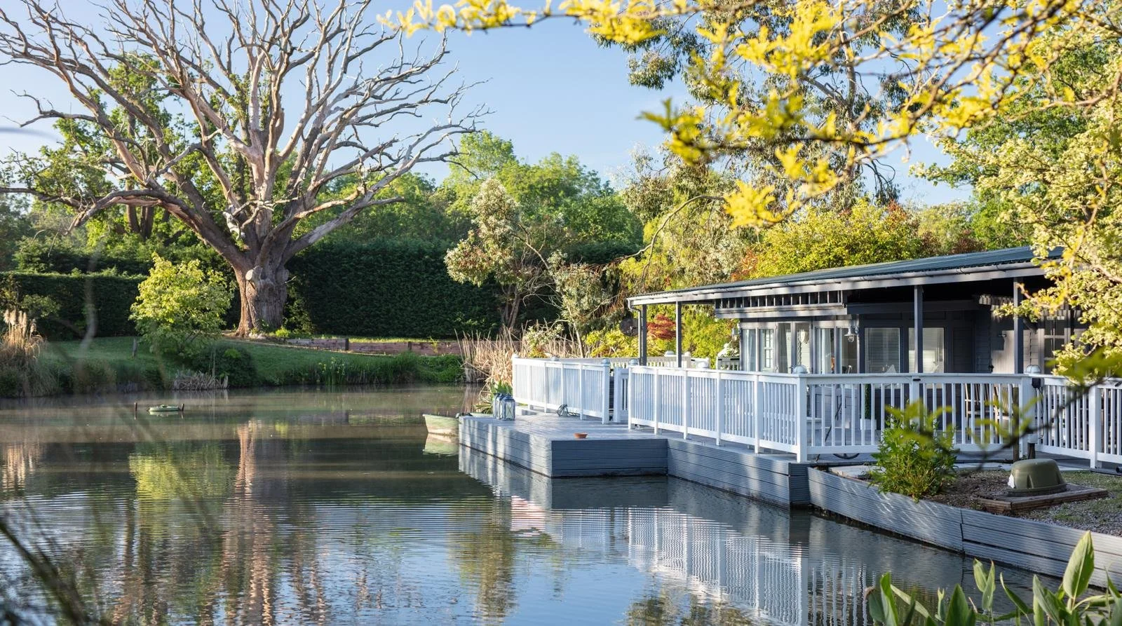 A lakeside yard with a large tree, lush greenery, and a house with a white deck extending over the water.