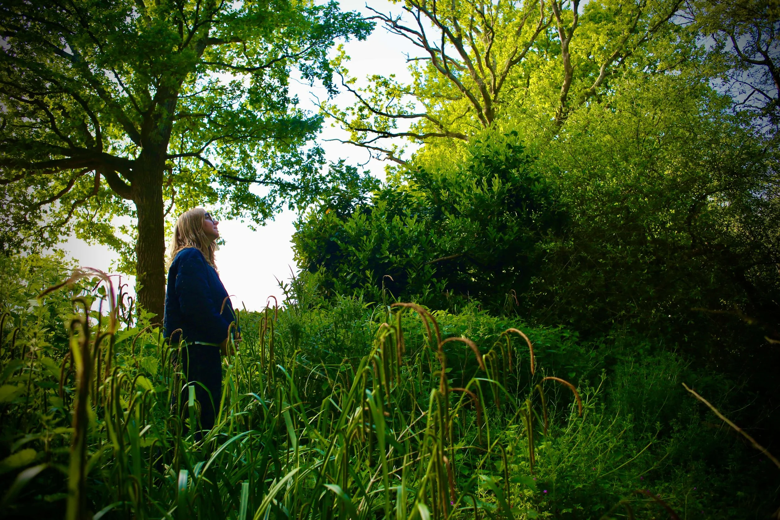 Catriona of Little Barn Yoga with blonde hair, sunglasses, wearing a dark blue jacket, stands in a lush green forest with tall trees and leafy branches, looking upward.
