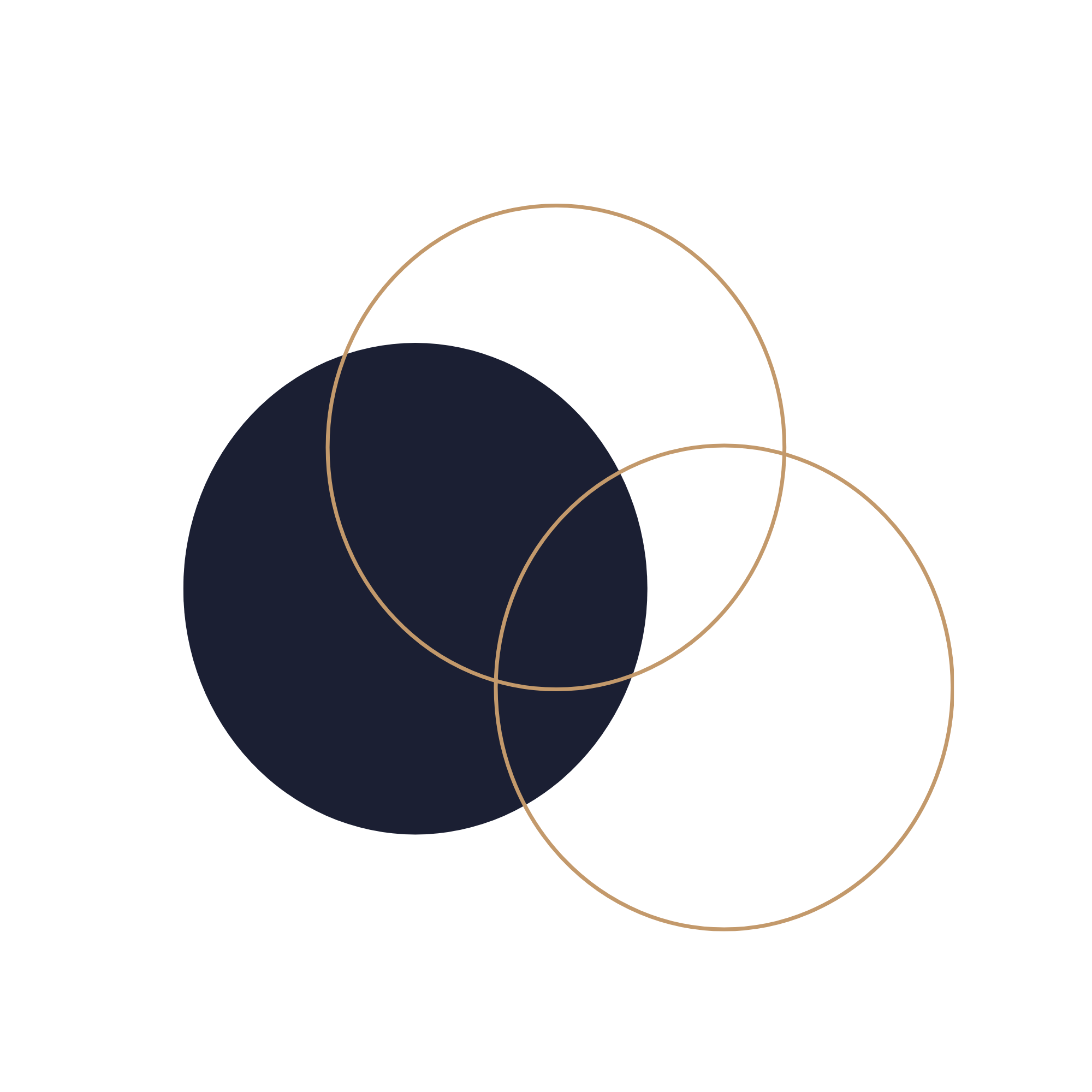 Black background with overlapping wireframe circles in beige and dark navy blue.
