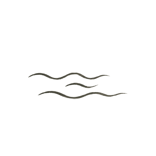 A black and white illustration of a bird flying with three curved lines below it, representing movement or wind.