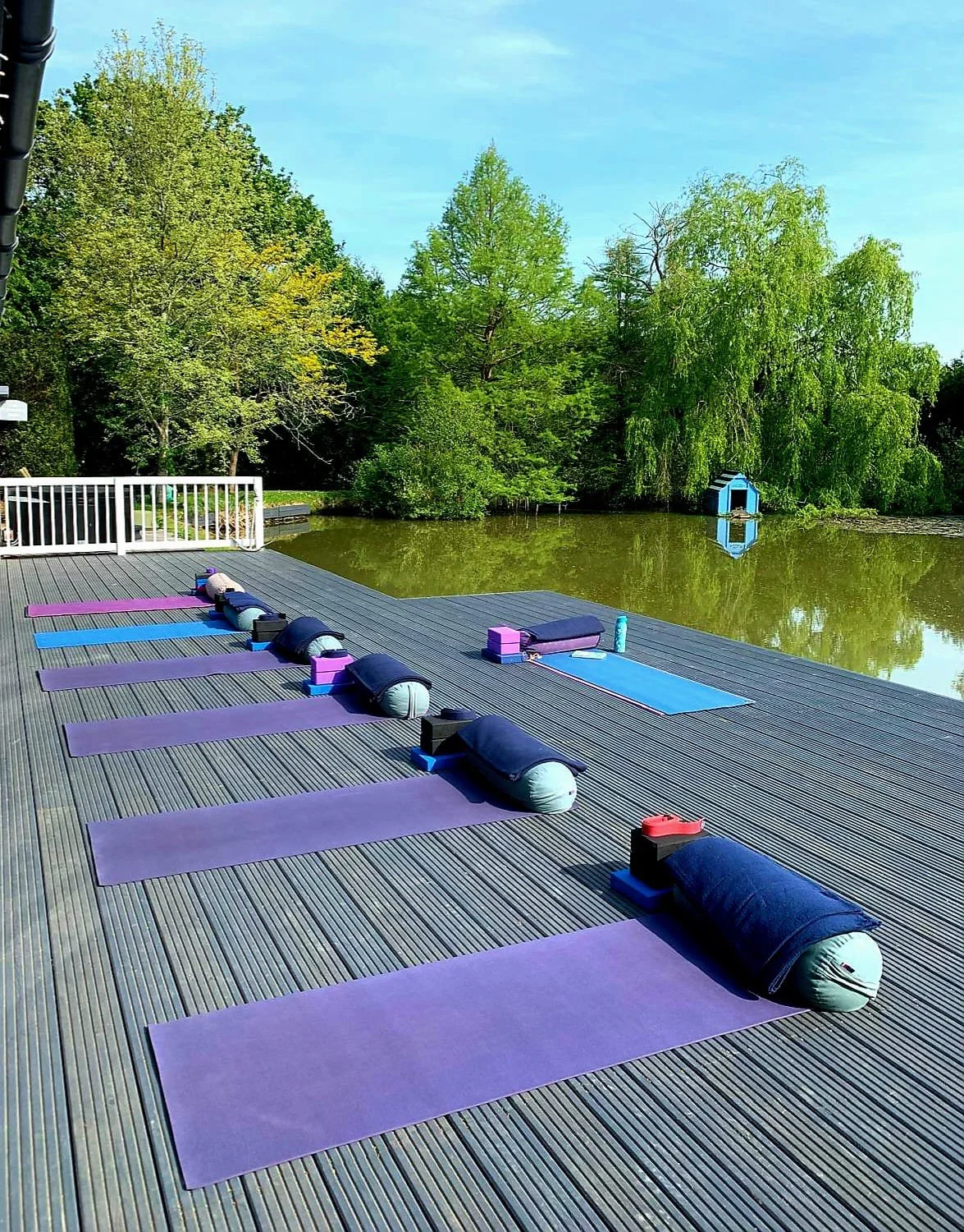 Yoga mats and props arranged on a wooden dock beside a pond with green trees and a small blue shed.