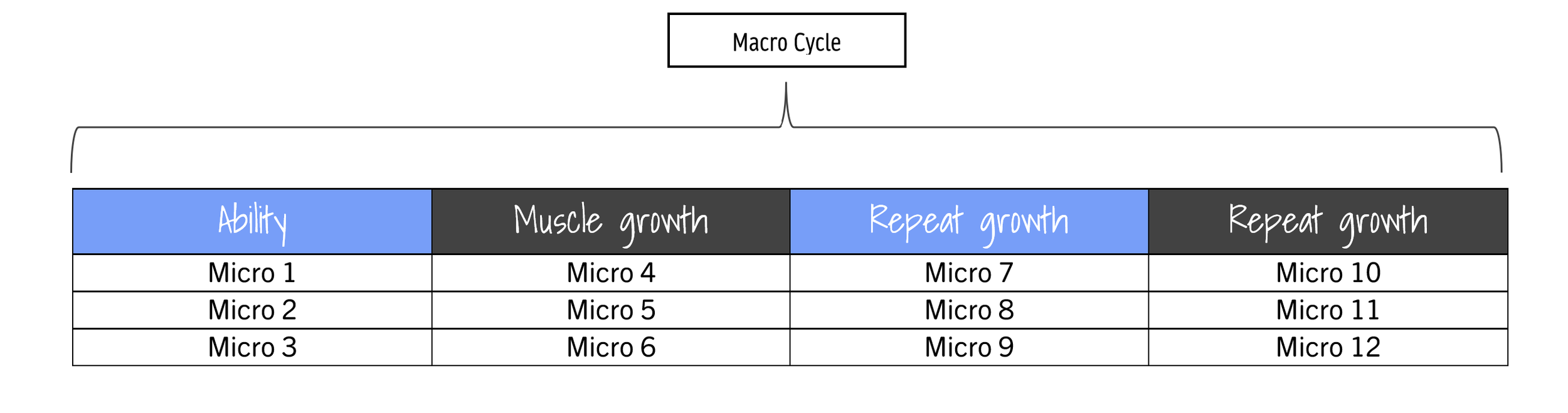 A table showing a training progression for muscle growth, divided into four columns: Ability, Muscle growth, Repeat growth, and repeat growth, with rows labeled Micro 1 to Micro 12, and a header labeled 'Macro Cycle' above the columns.