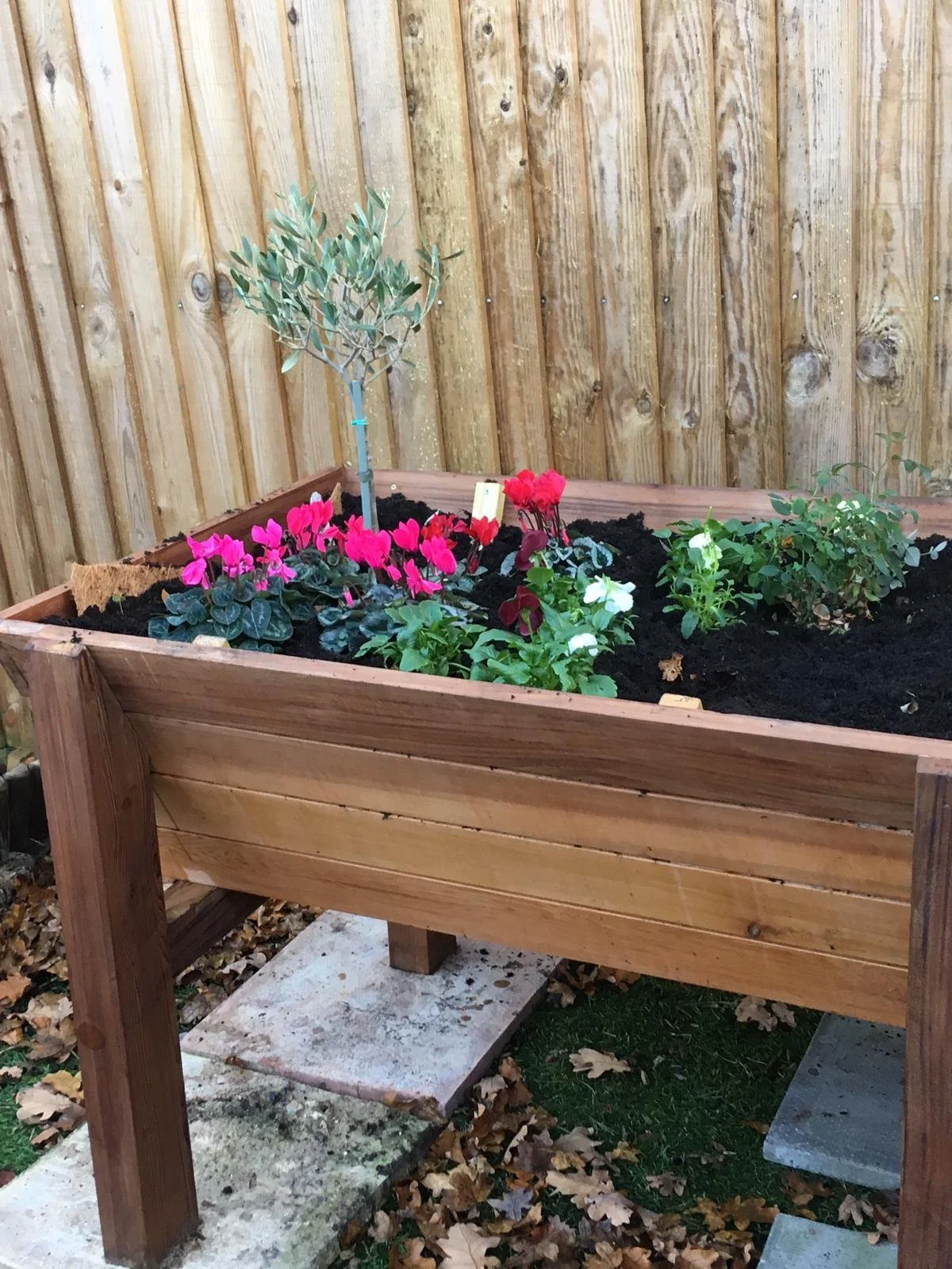 Cedar garden planter 