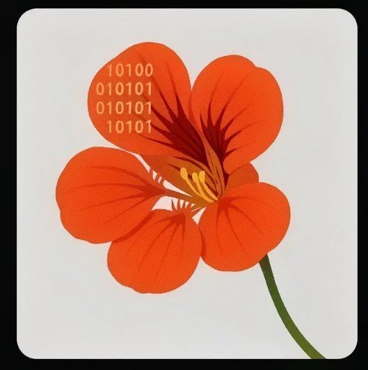 "All The Flowers in The Rainbow" Blog Series
