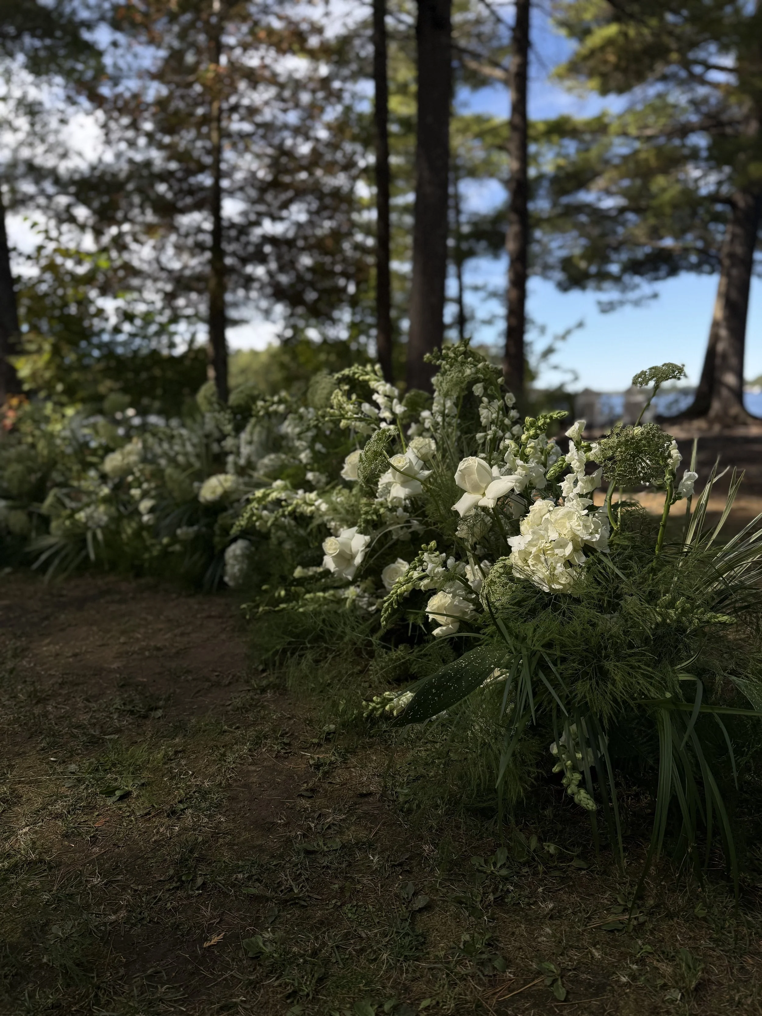 Arranged white flowers on the ground in a forest with tall trees and a partly cloudy sky.