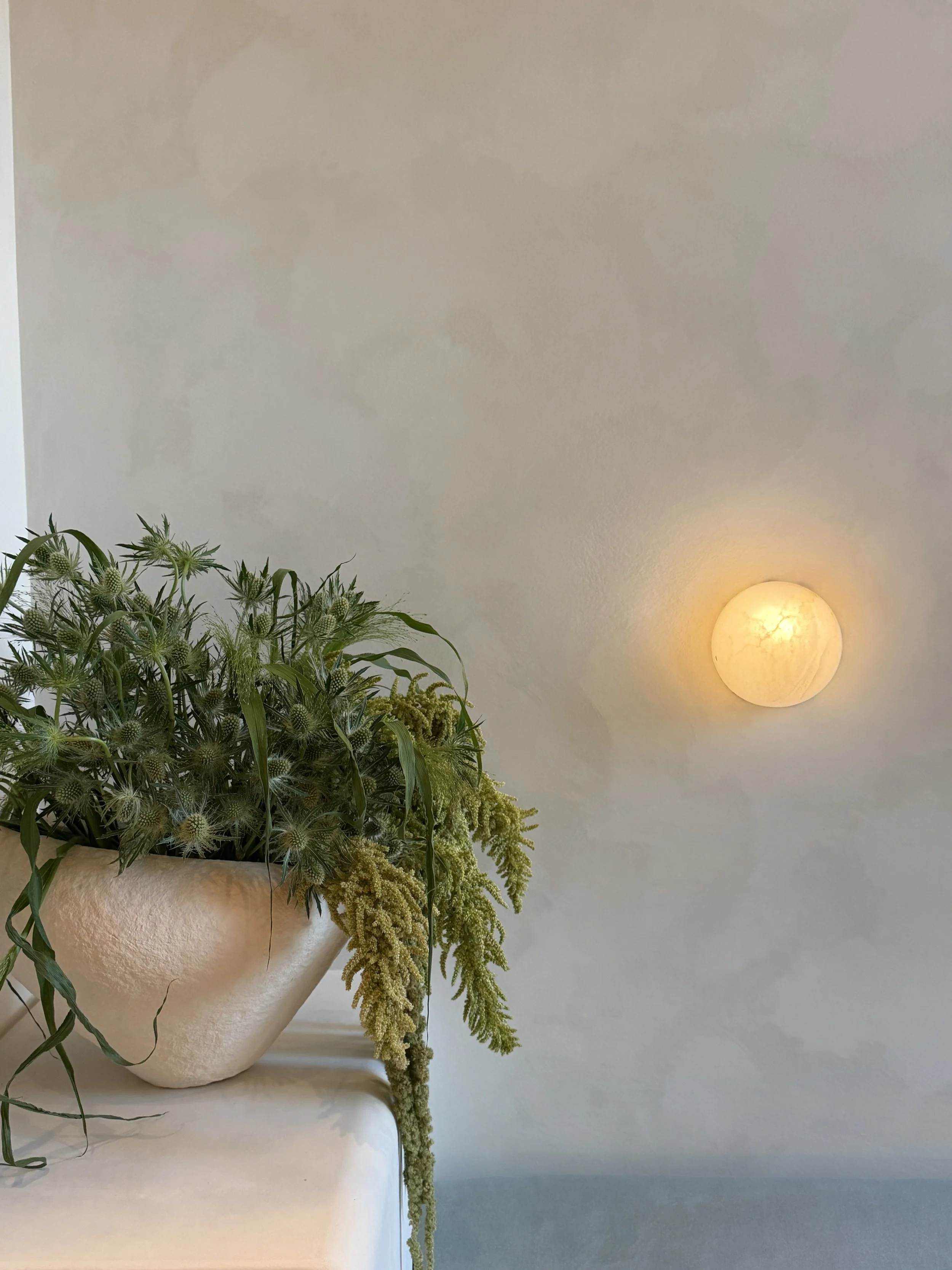 A large white pot with green plants and hanging trailing greenery on a white surface, illuminated by a round wall sconce on a plain white wall.
