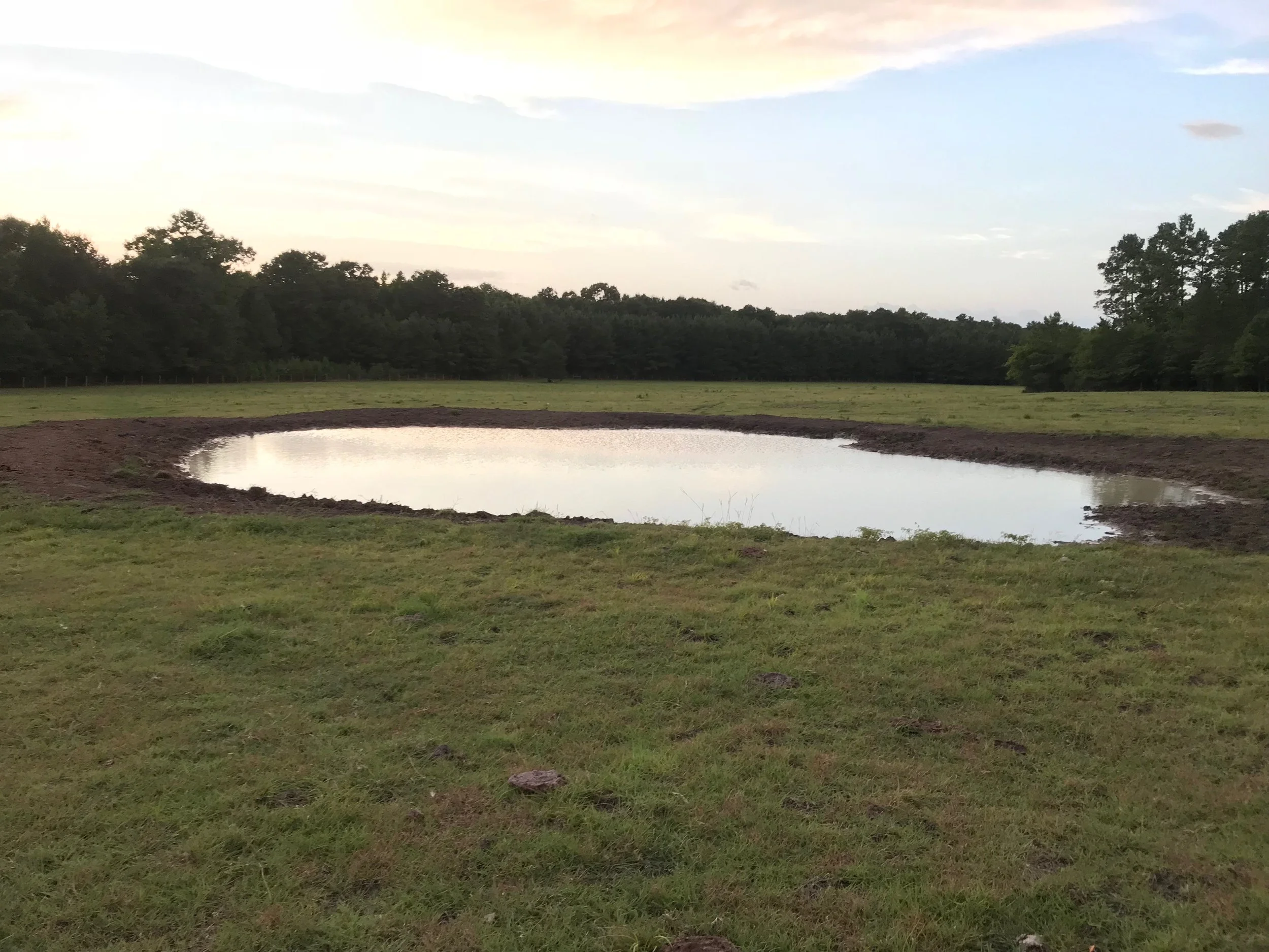 POND