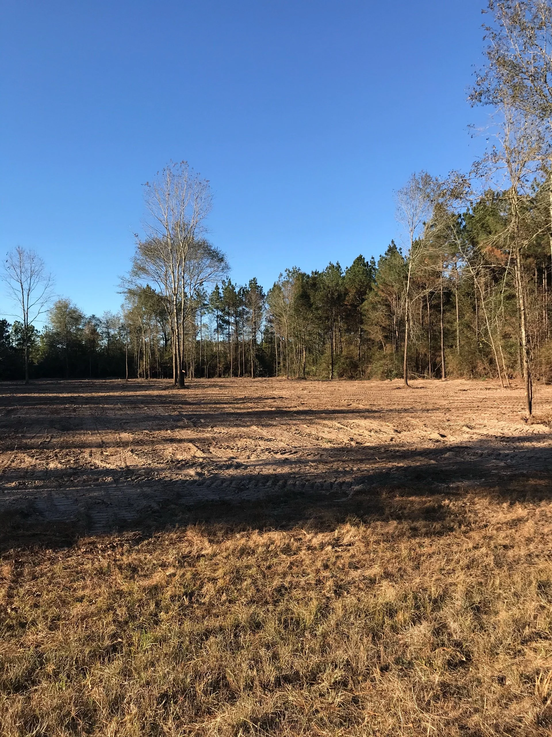 Land Clearing