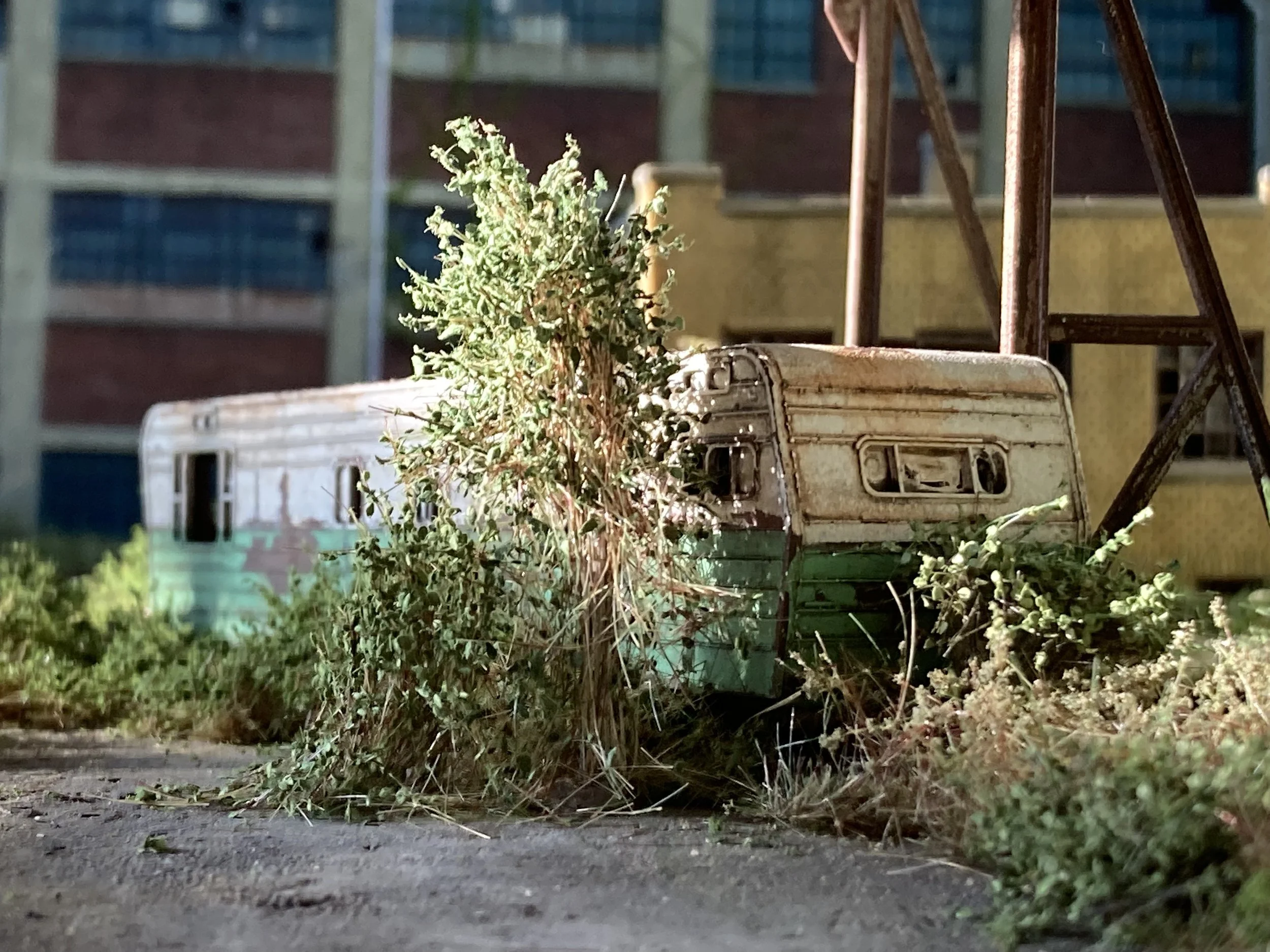 Broken branches and leaves piled on an old white truck and on the ground, with a building in the background.