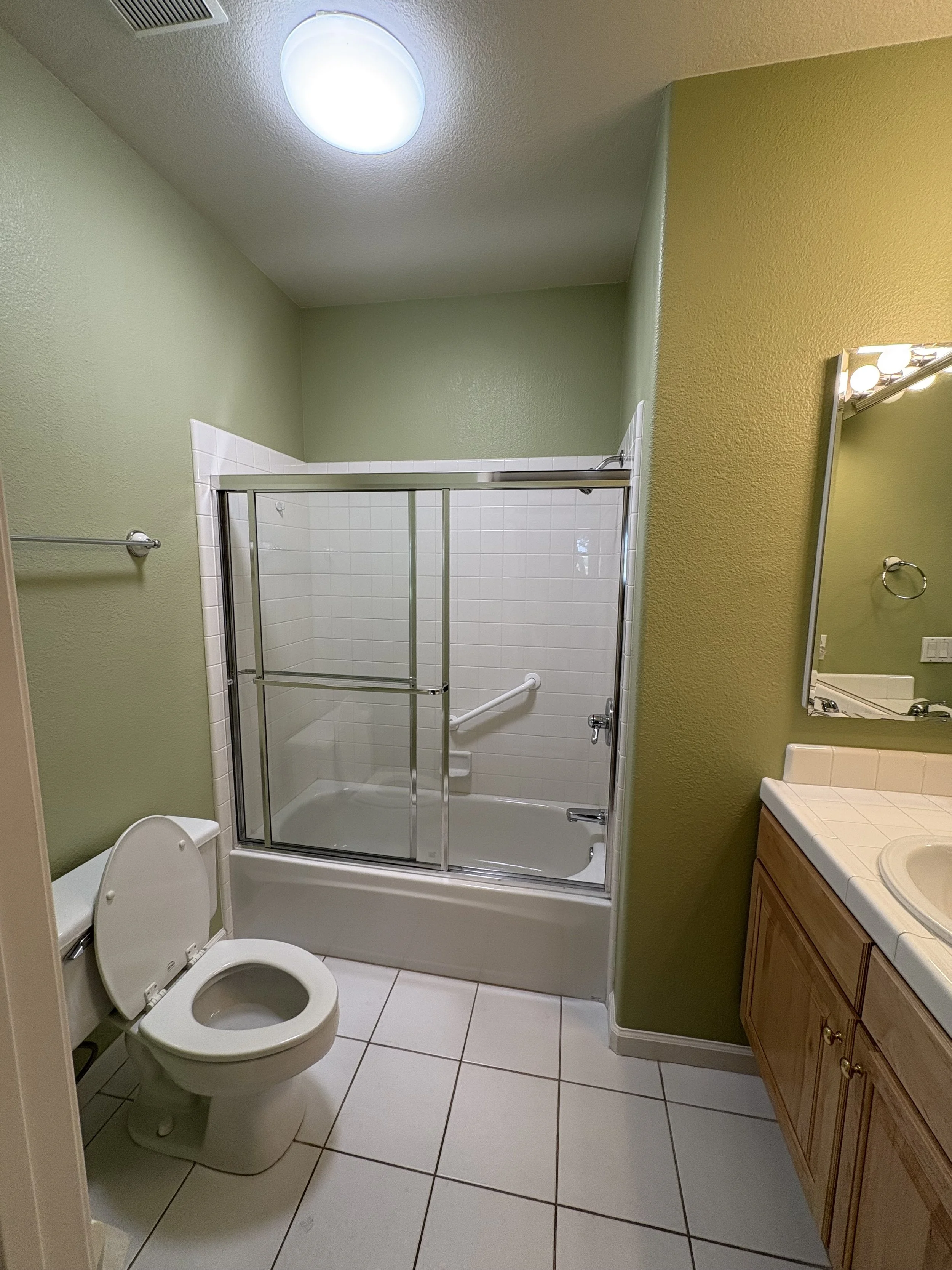 Guest bath fefore
