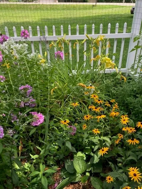 The Summer Garden
