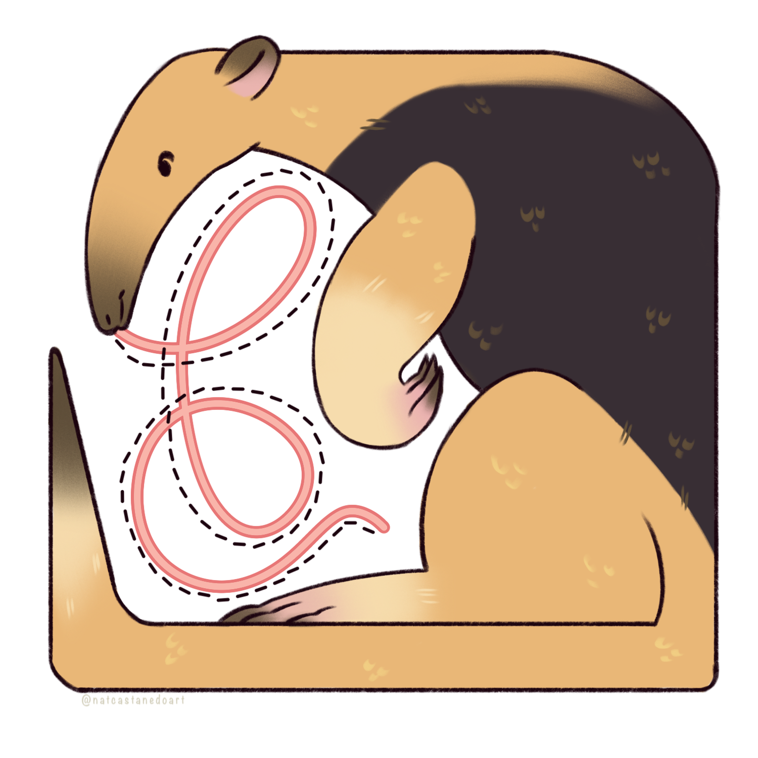 Tamandua Anteater.png