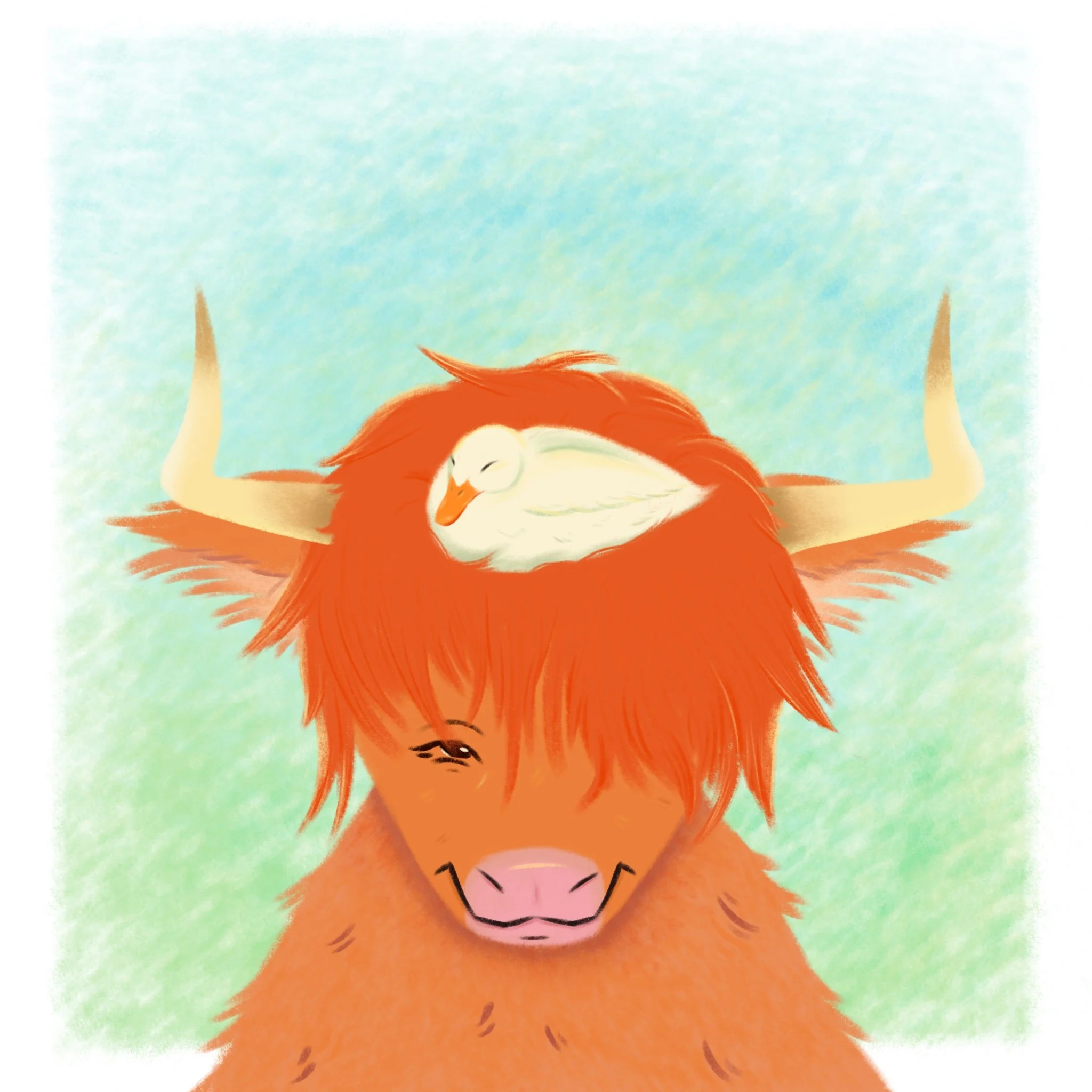 Cow.jpg