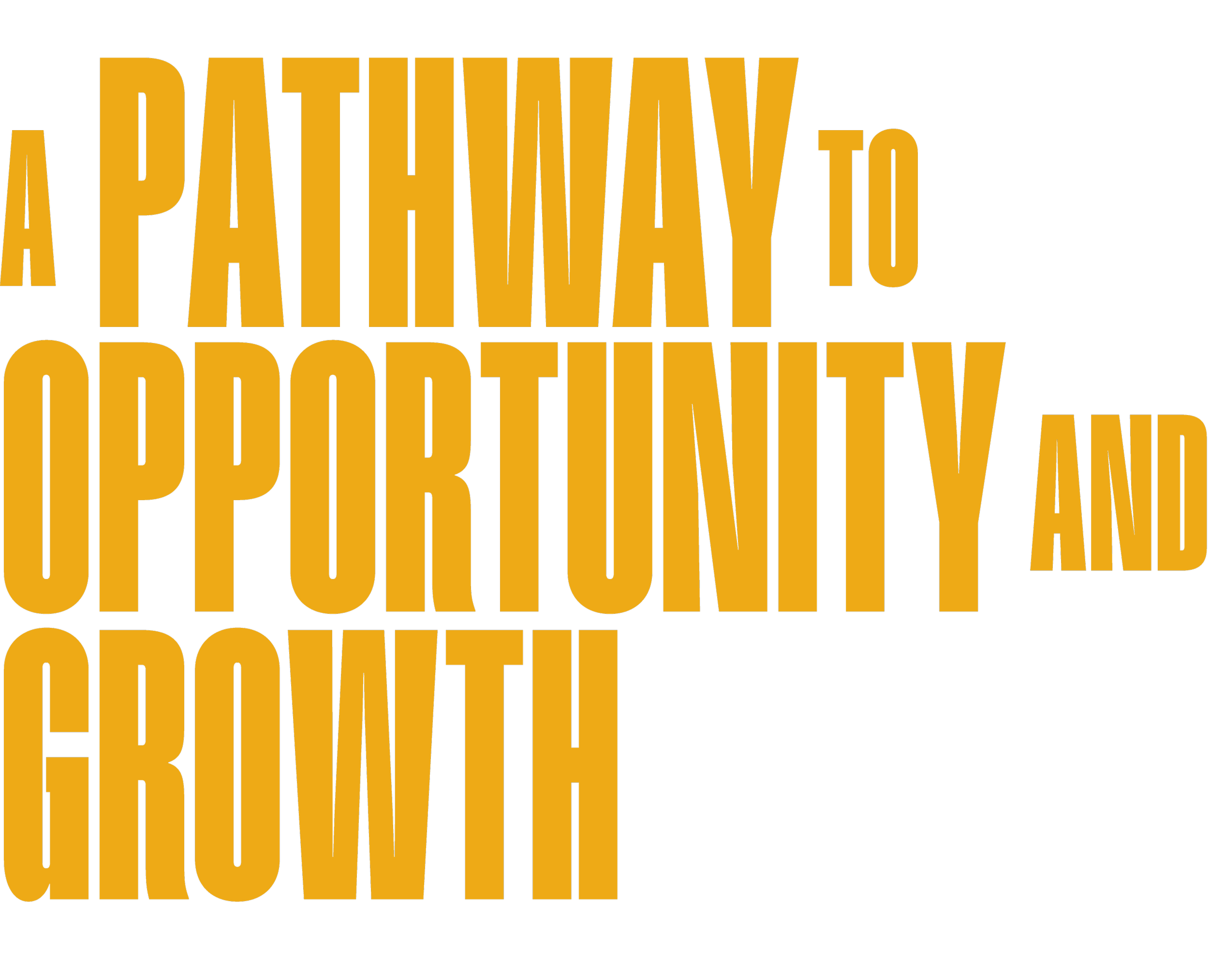 Graphic text on a yellow background reading "A Pathway to Opportunity and Growth" for the Visions of Science Shaw Visionary Scholars Program.