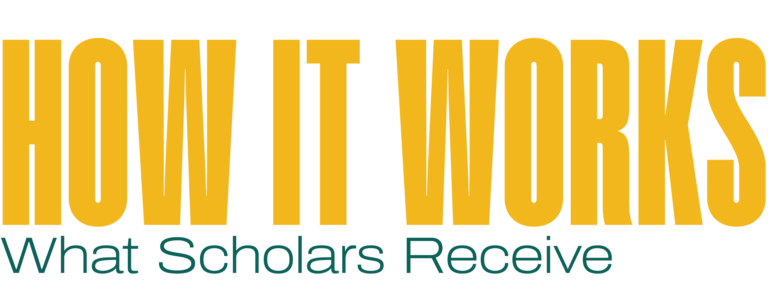 Promotional text graphic reading "HOW IT WORKS: What Scholars Receive" for the Visions of Science Shaw Visionary Scholars website.