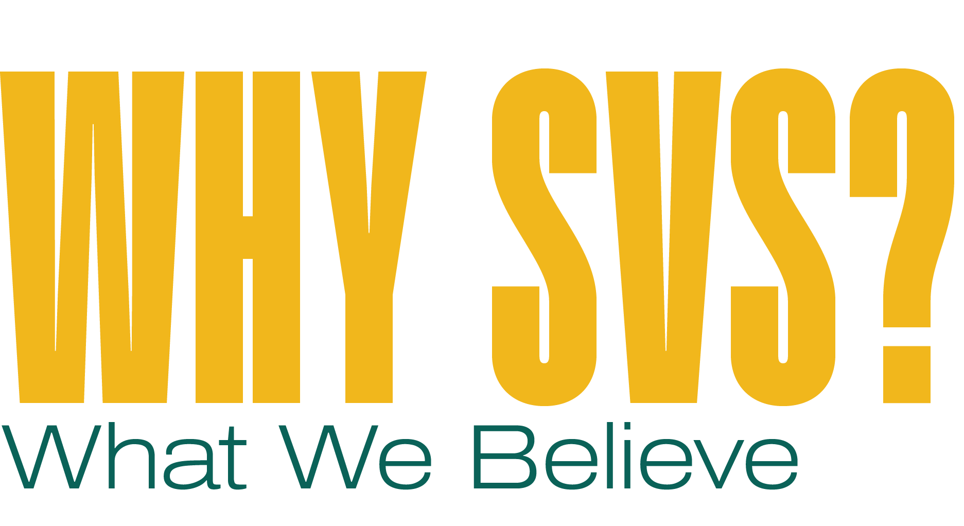 Promotional text graphic reading "WHY SVS? What We Believe" for the Visions of Science Shaw Visionary Scholars program.