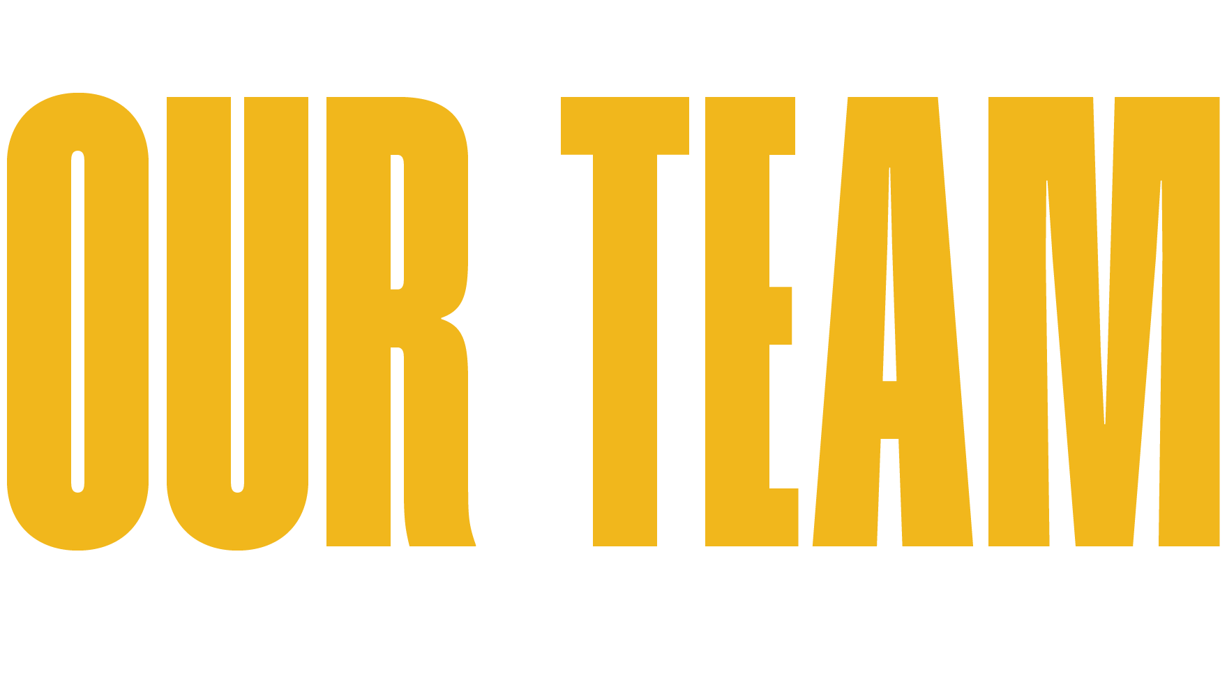 Promotional text graphic reading "OUR TEAM" for the Visions of Science Shaw Visionary Scholars program website.