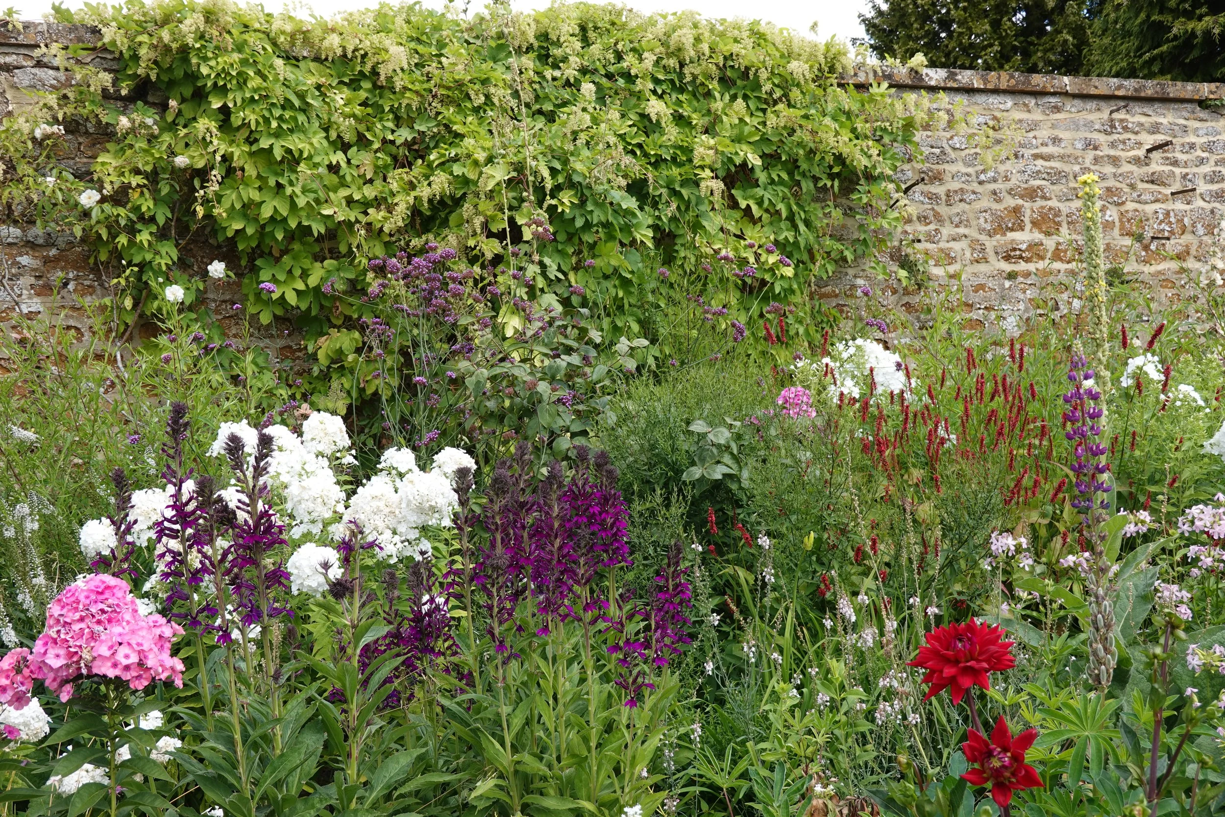 HENRY MILLS LANDSCAPES |  A lush garden with various colorful flowers including white, pink, purple, and red blooms, growing in front of a brick wall covered with green vines and leaves.