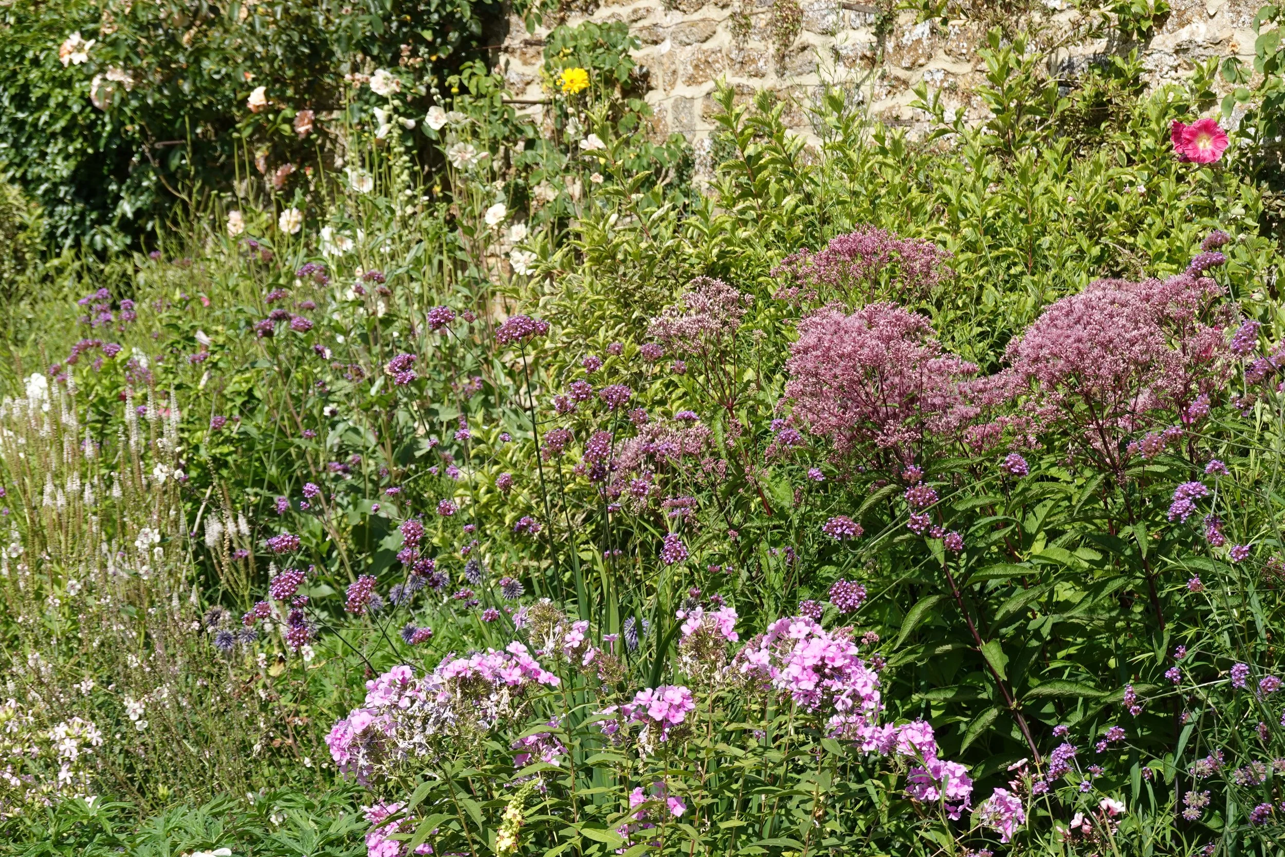 HENRY MILLS LANDSCAPES |  Garden filled with various colorful flowers, including pink, purple, white, and yellow blossoms, with a stone wall in the background.
