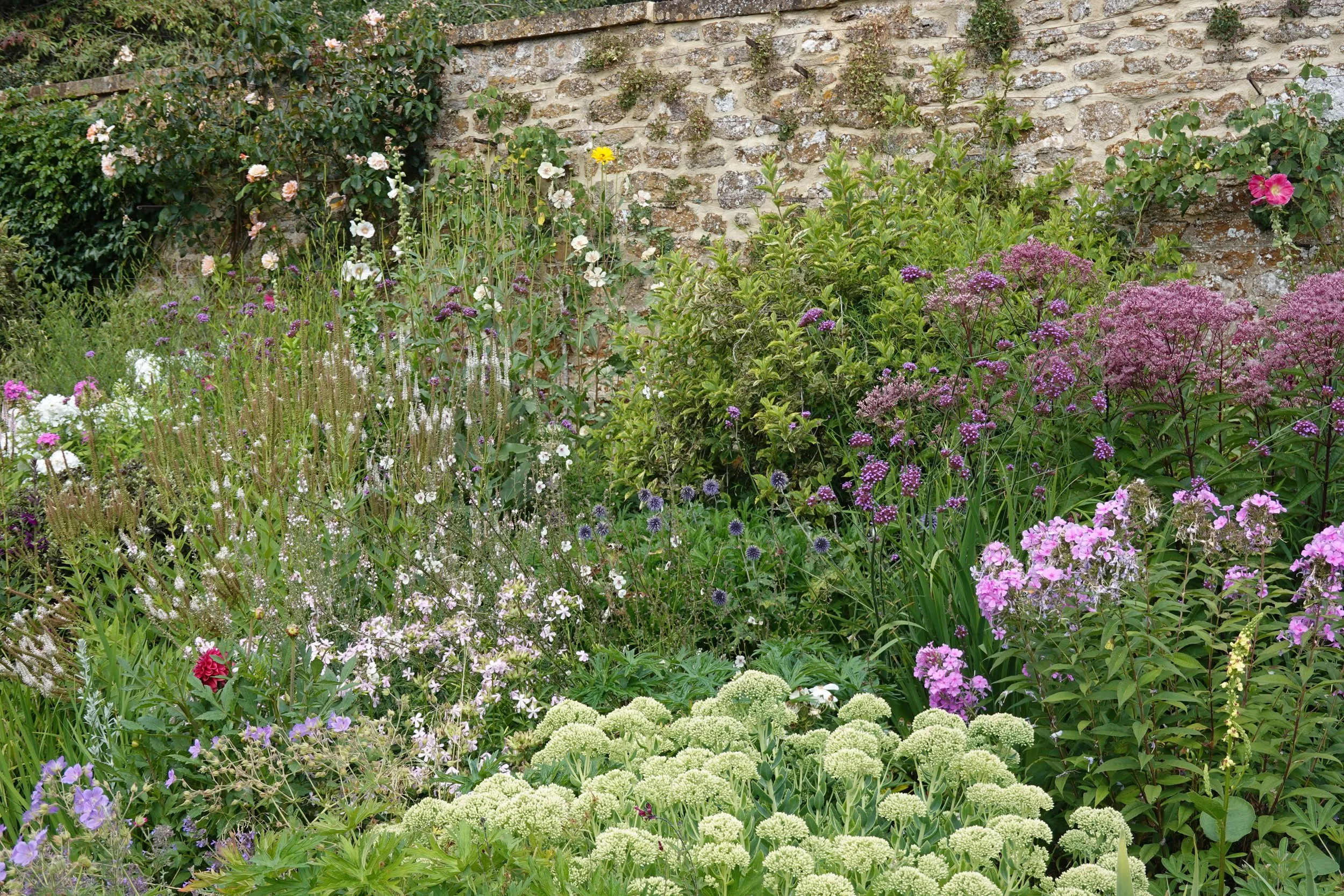 A lush garden with a variety of colorful flowers in front of a stone wall.