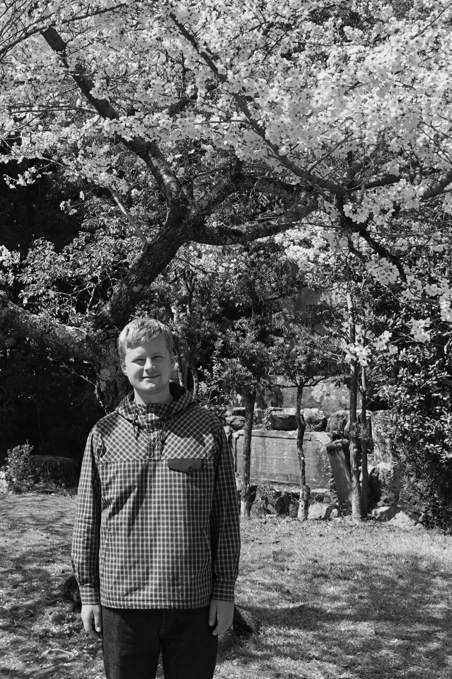 A man wearing a checkered jacket standing outdoors in front of a large tree with blooming flowers, with a stone wall and rocks in the background.