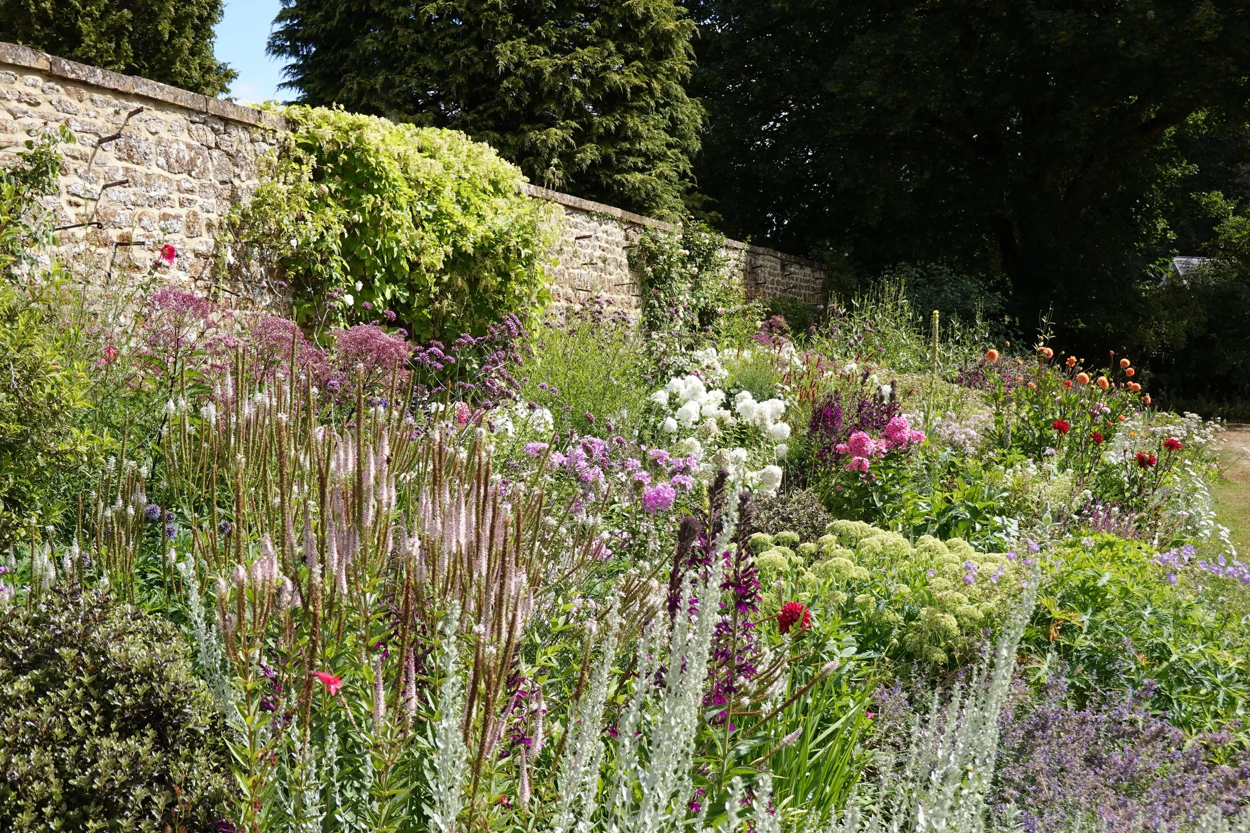 HENRY MILLS LANDSCAPES | A lush garden with a stone wall covered in green foliage and a variety of colorful flowers in full bloom, with trees in the background.