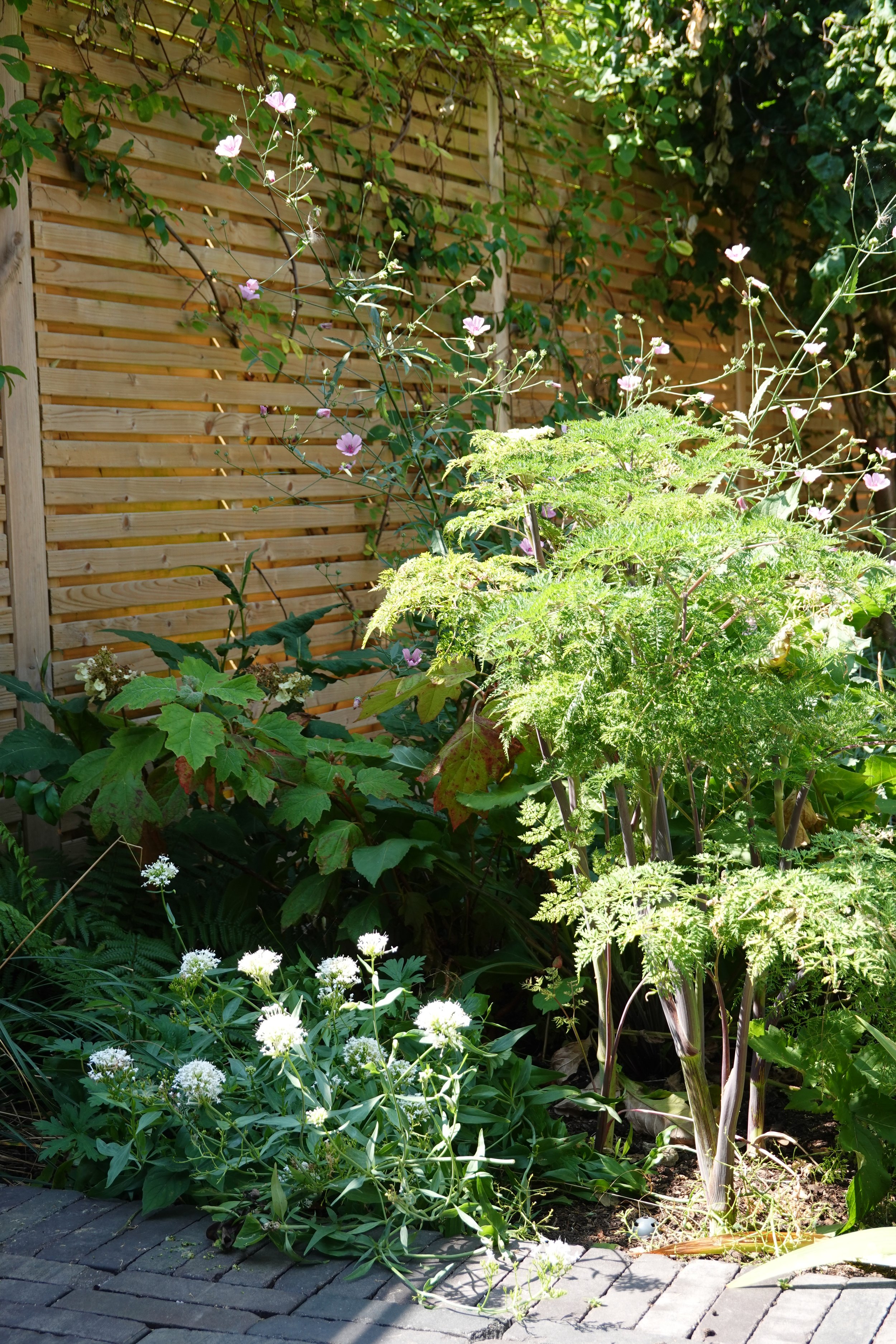 A garden scene with greenery and flowers, including white and pink blooms, in front of a wooden fence.