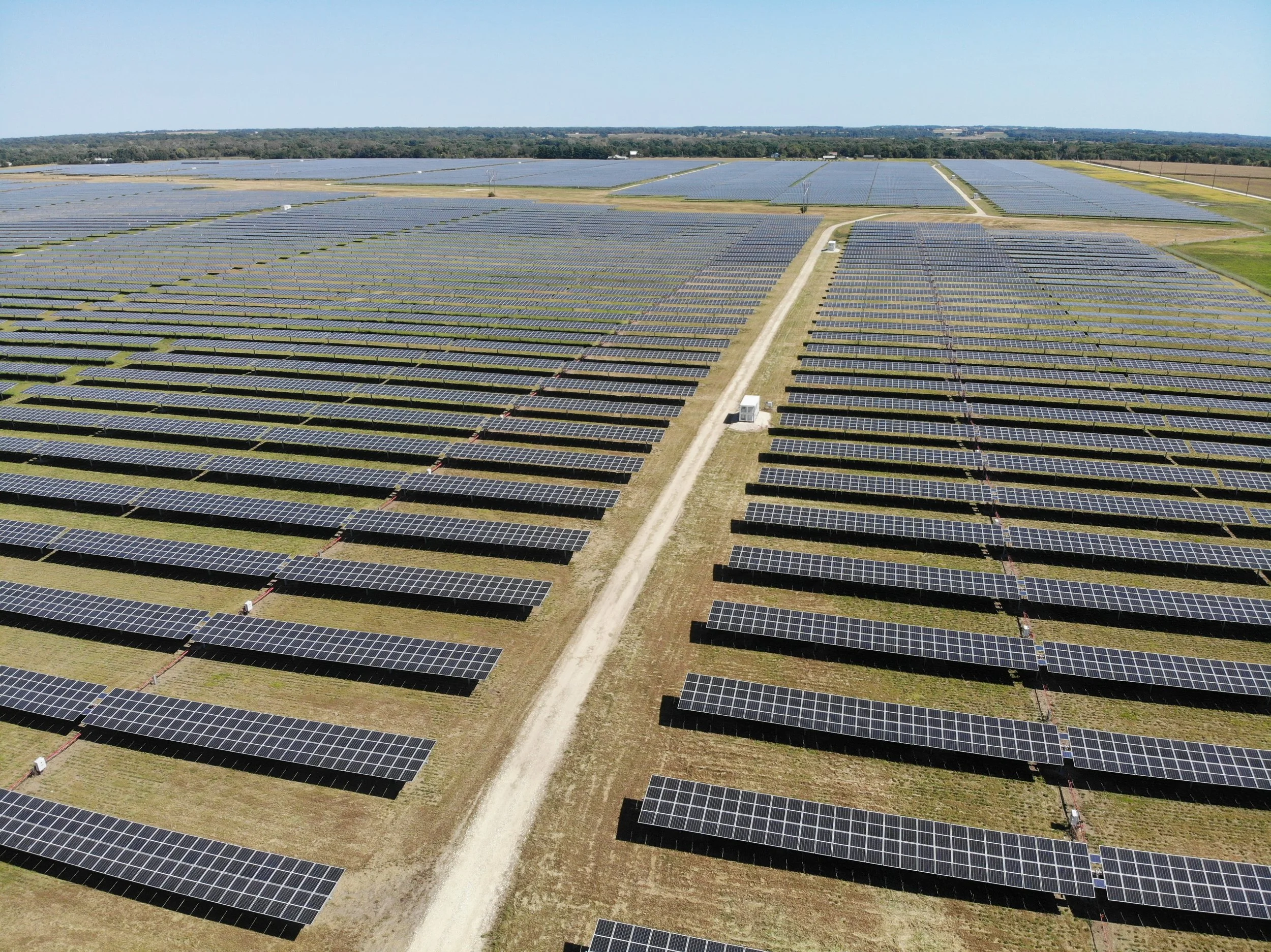 A large field of solar panels with grass growing beneath them
