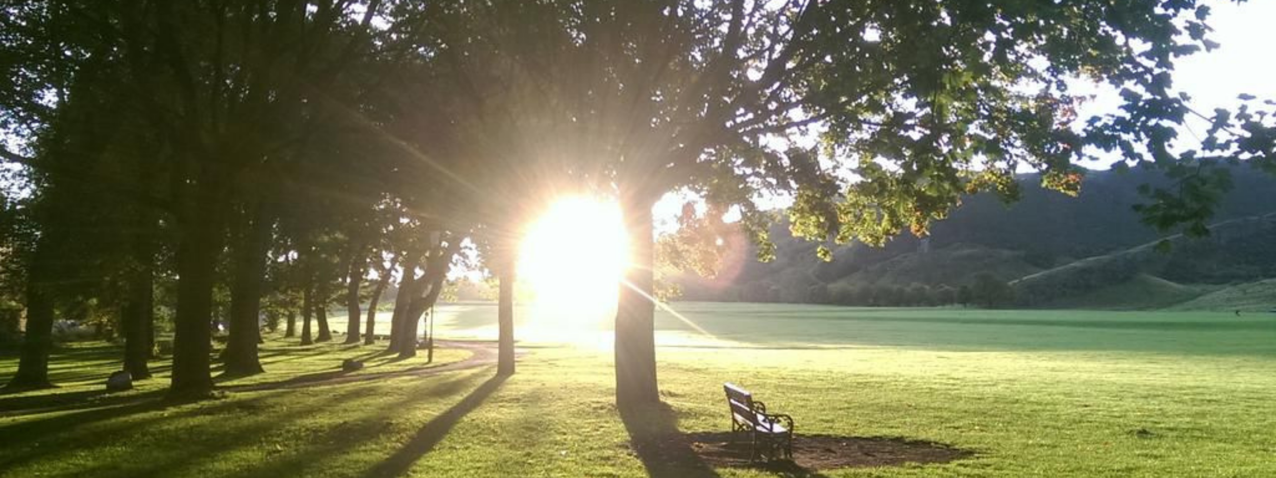 Sunset over a grassy park with trees, a bench, and hills in the background.