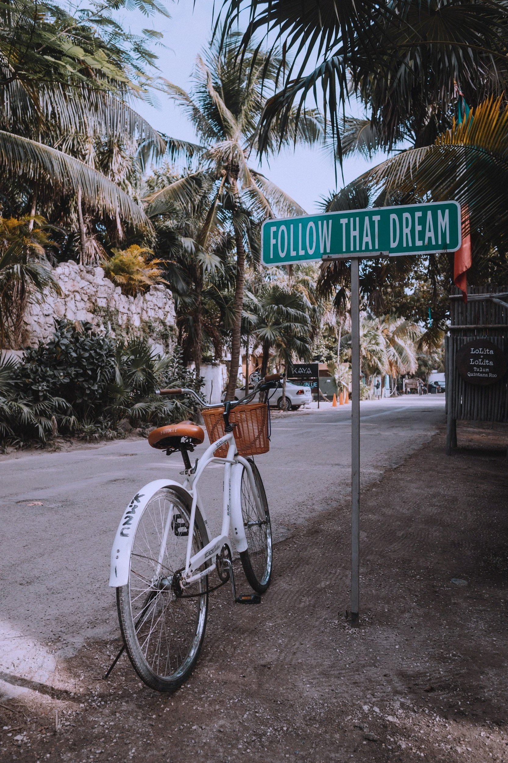 Athena Grace Foundation Adventure, a white bicycle with a basket on the front, parked on a dirt road amidst lush tropical plants and palm trees. A street sign reads "Follow That Dream" and some cars are visible in the background.