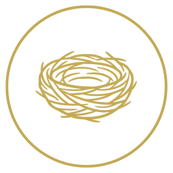 5 Pillars of Athena Grace Foundation, Illustration of a bird's nest in gold on a white background with a gold border.