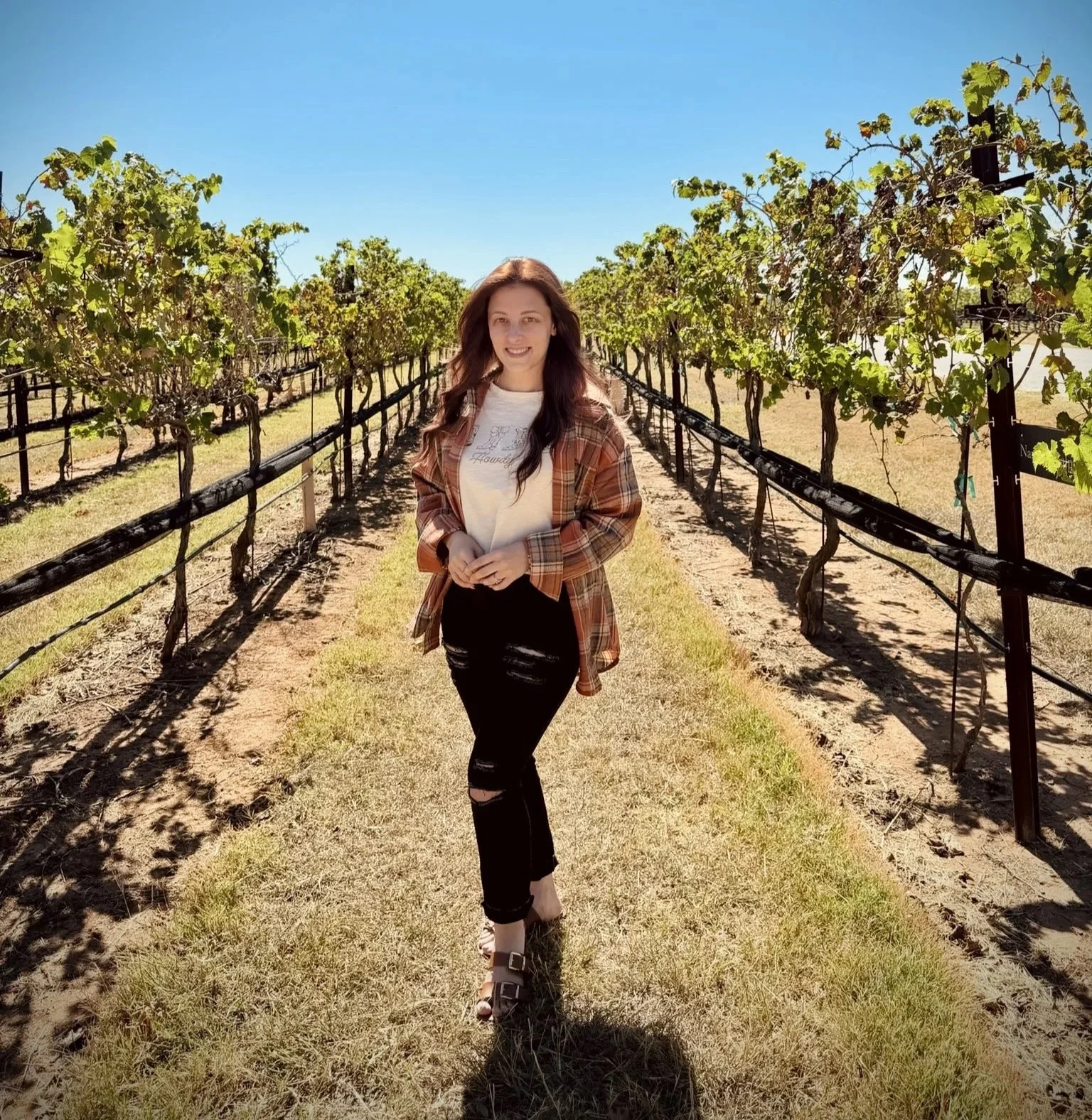 A woman in a plaid shirt and ripped black jeans walking through a vineyard on a sunny day.