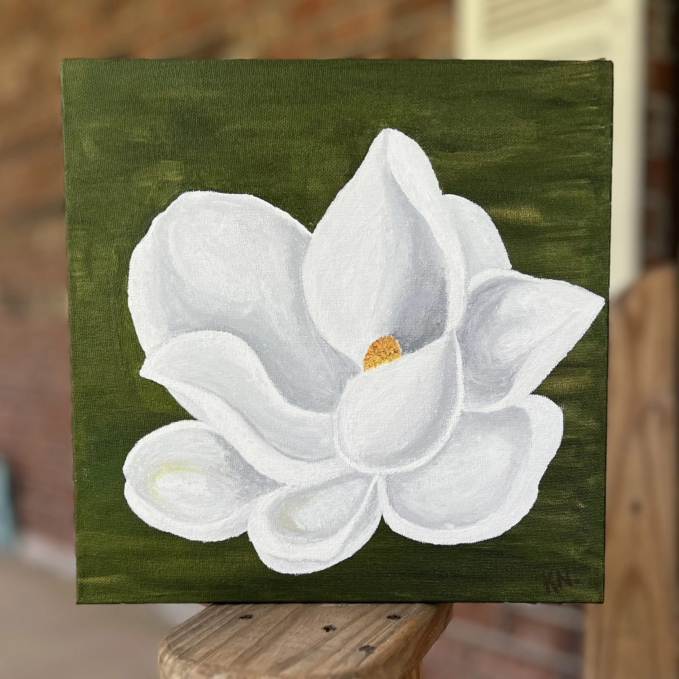 Southern Magnolia