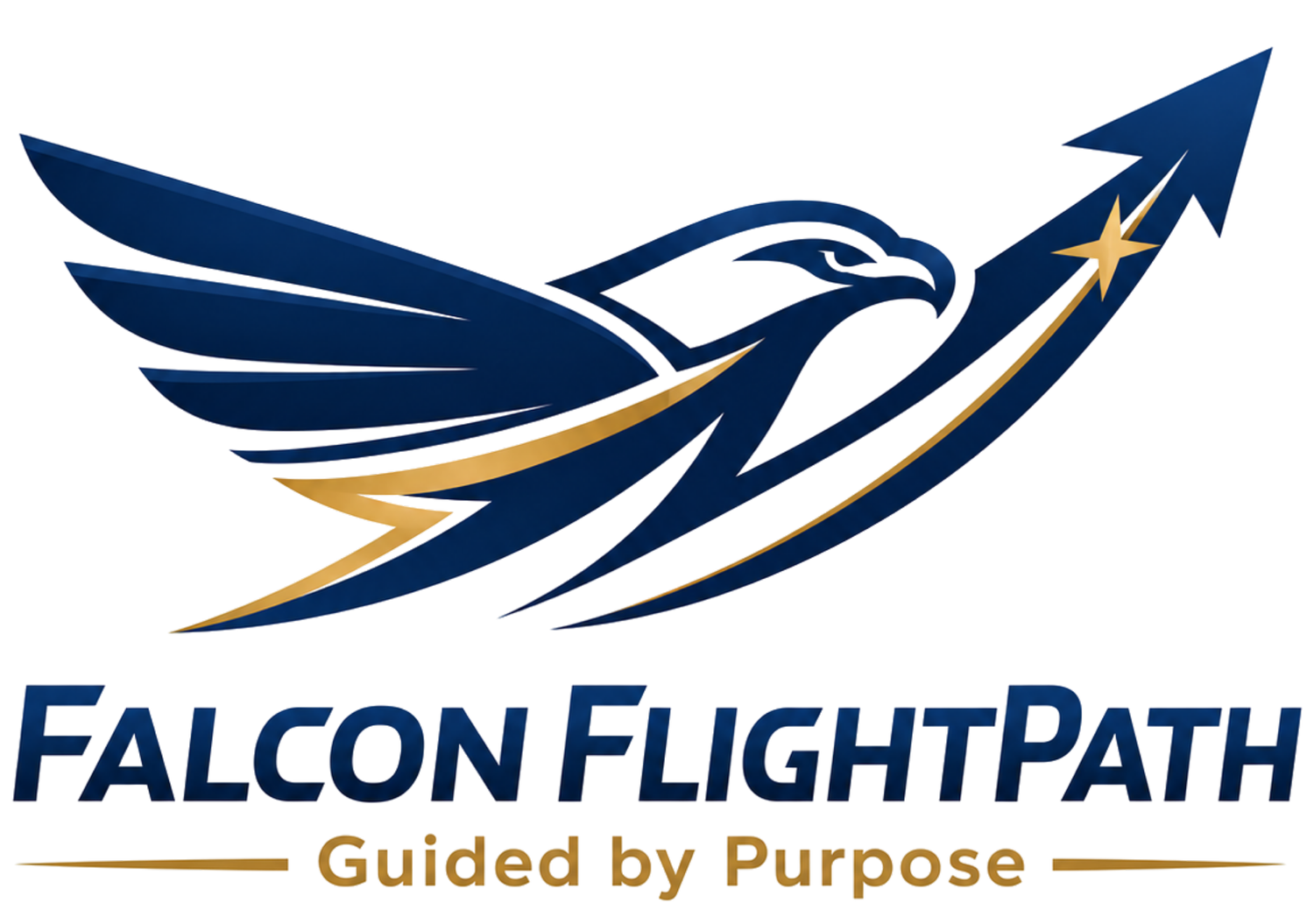 Falcon FlightPath