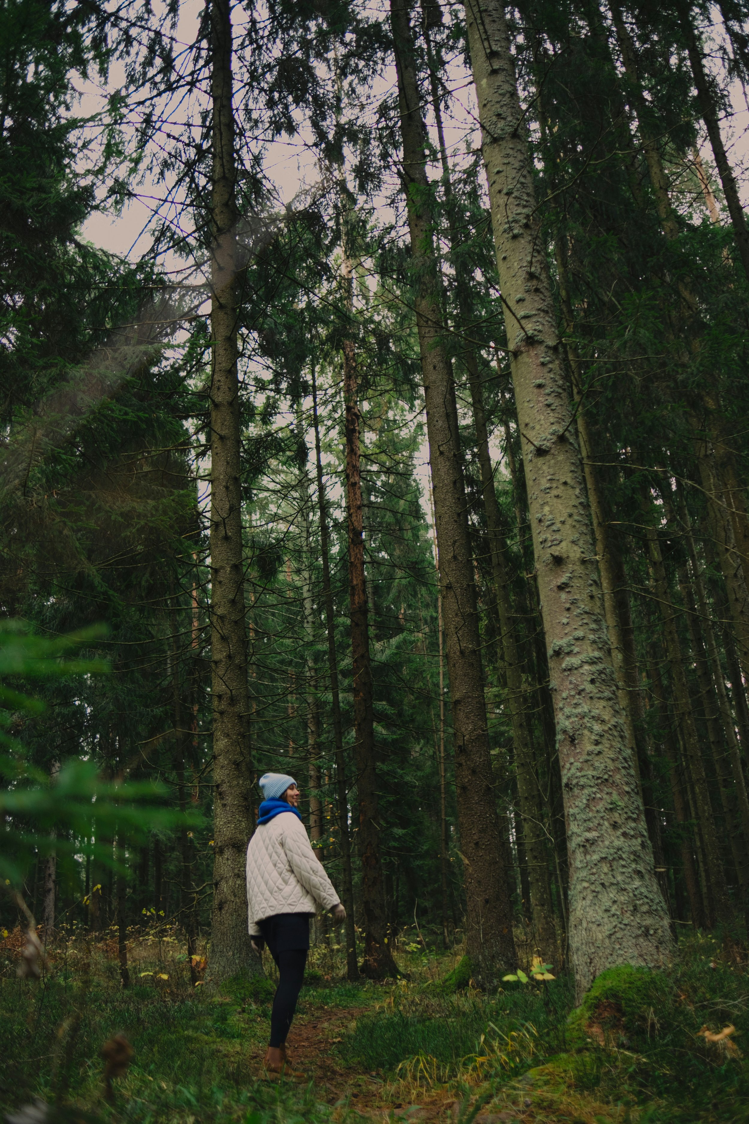 A woman in a beige quilted jacket, black pants, brown shoes, and a blue beanie hat walking on a forest trail surrounded by tall trees with green foliage.