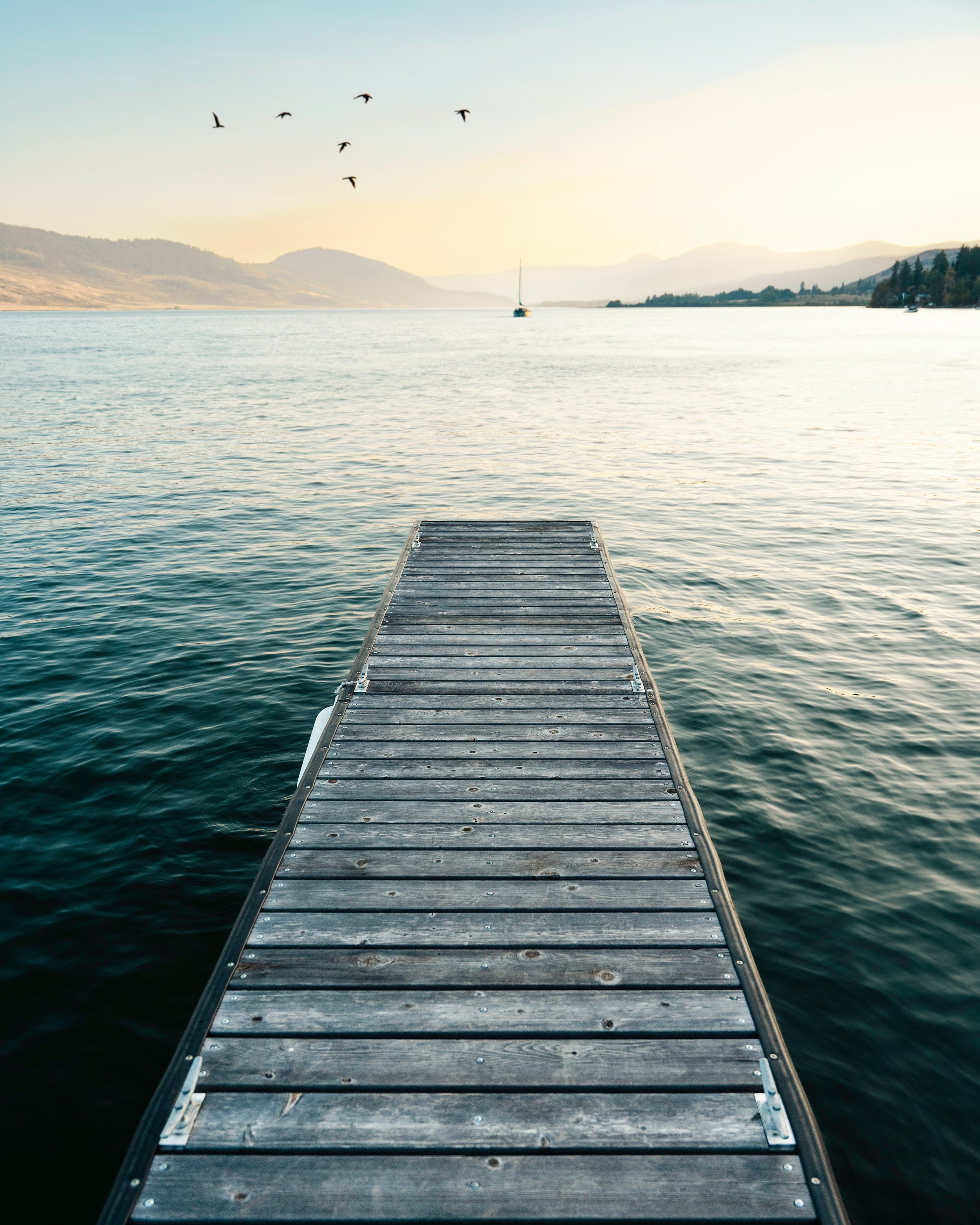 View of a wooden dock extending into a calm lake with distant hills, a boat, and birds flying in the sky.