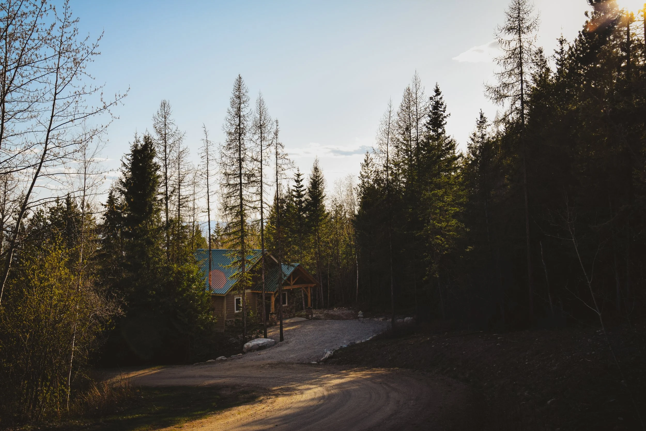 A scenic view of a forest with tall trees, a small cottage with a blue metal roof, and a dirt road winding through the area during what appears to be late afternoon or early evening sunlight.