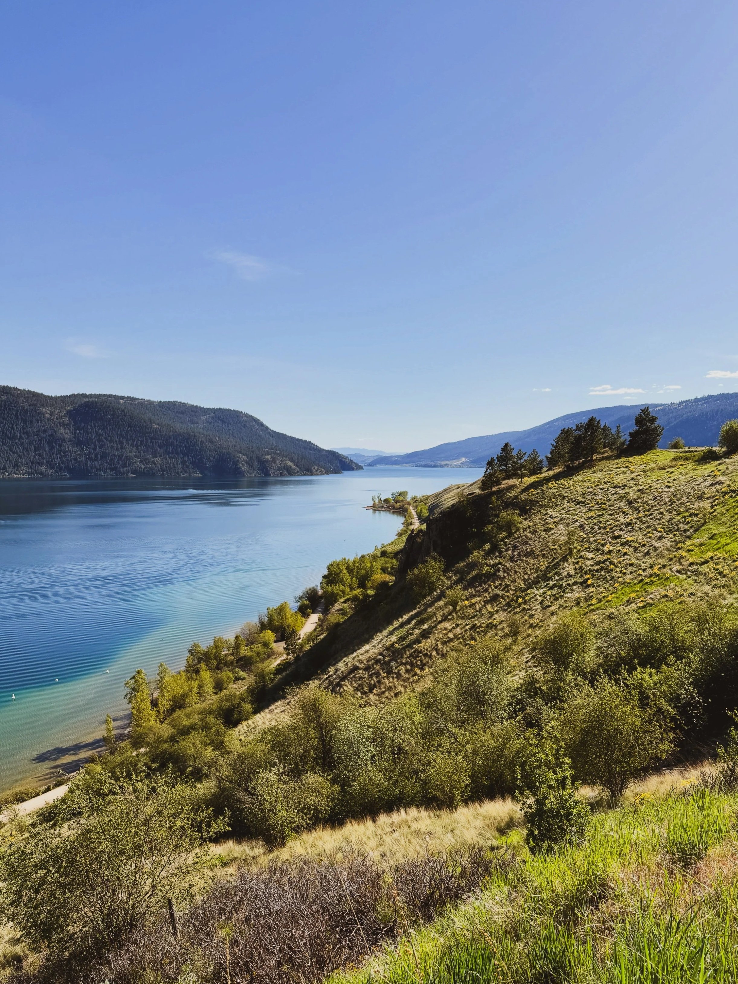 A scenic view of a river flowing through a valley with hills and mountains on both sides under a clear blue sky.