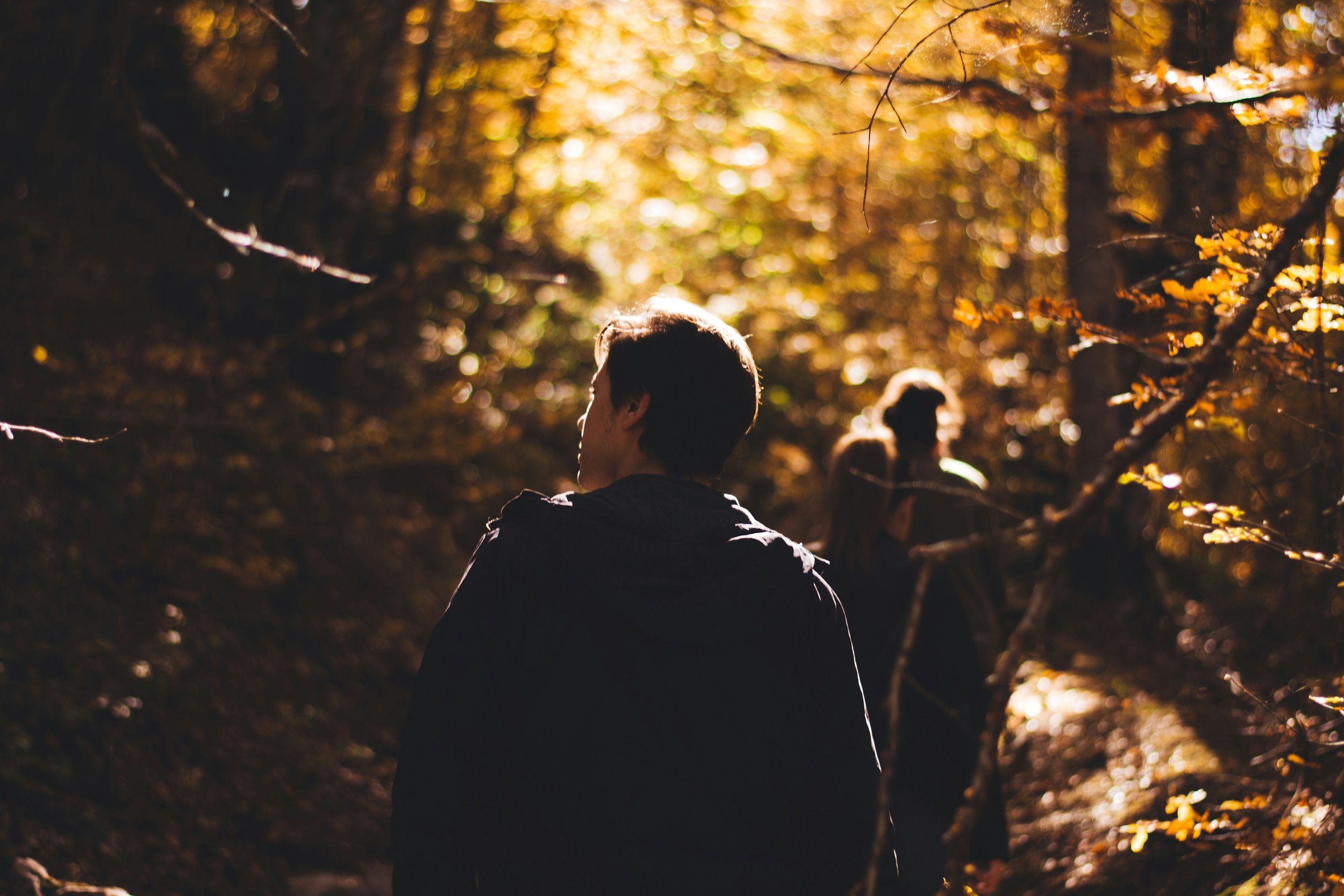 People walking through a forest with autumn leaves, backlit by sunlight, creating a glowing, warm atmosphere.